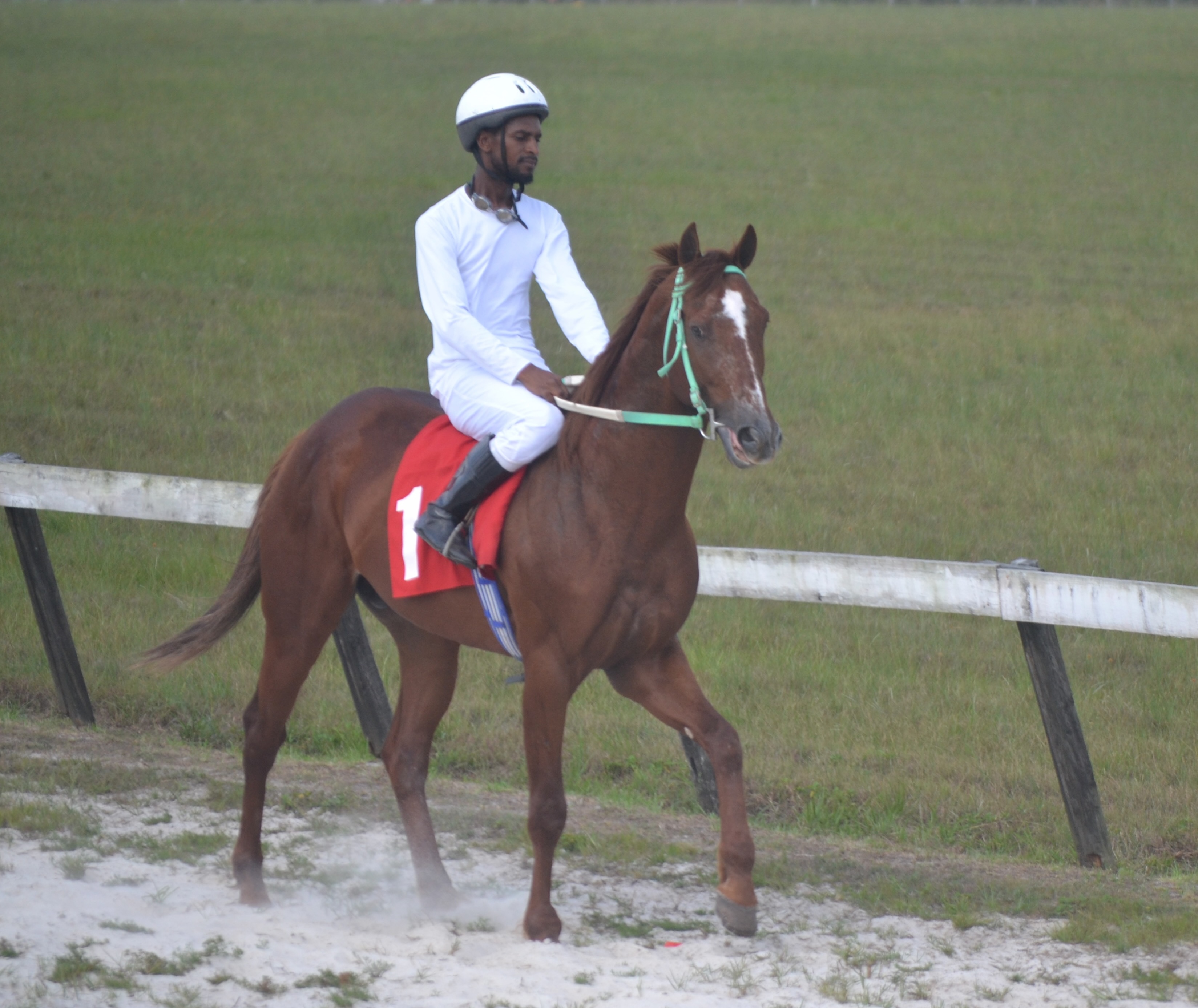https://horseracingbelize.com/24 Seven