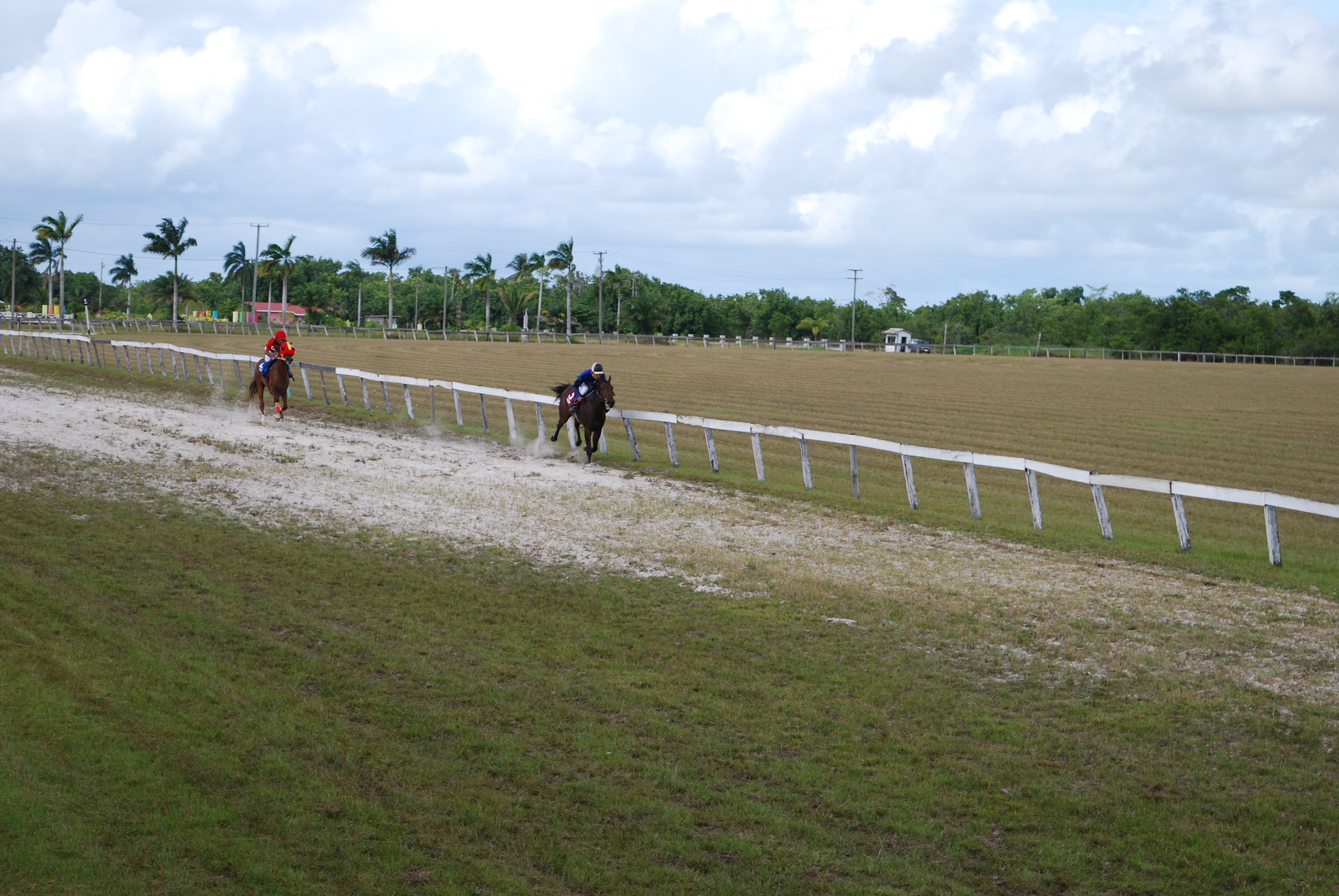 https://horseracingbelize.com/Cataleya of the Russel Stables wins the Derby for Untried Upgraded Two Year Olds.