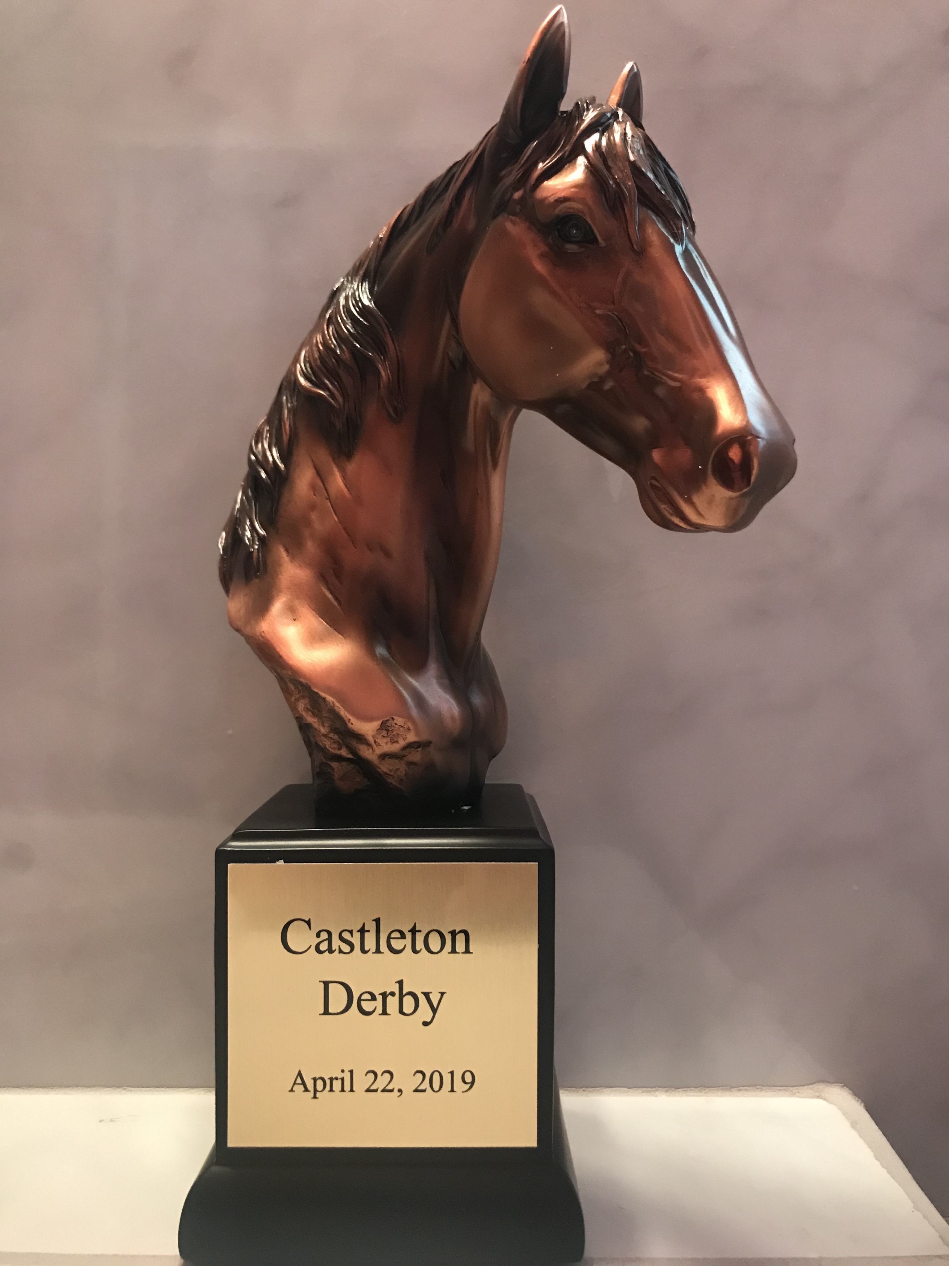 https://horseracingbelize.com/Castleton Derby Trophy