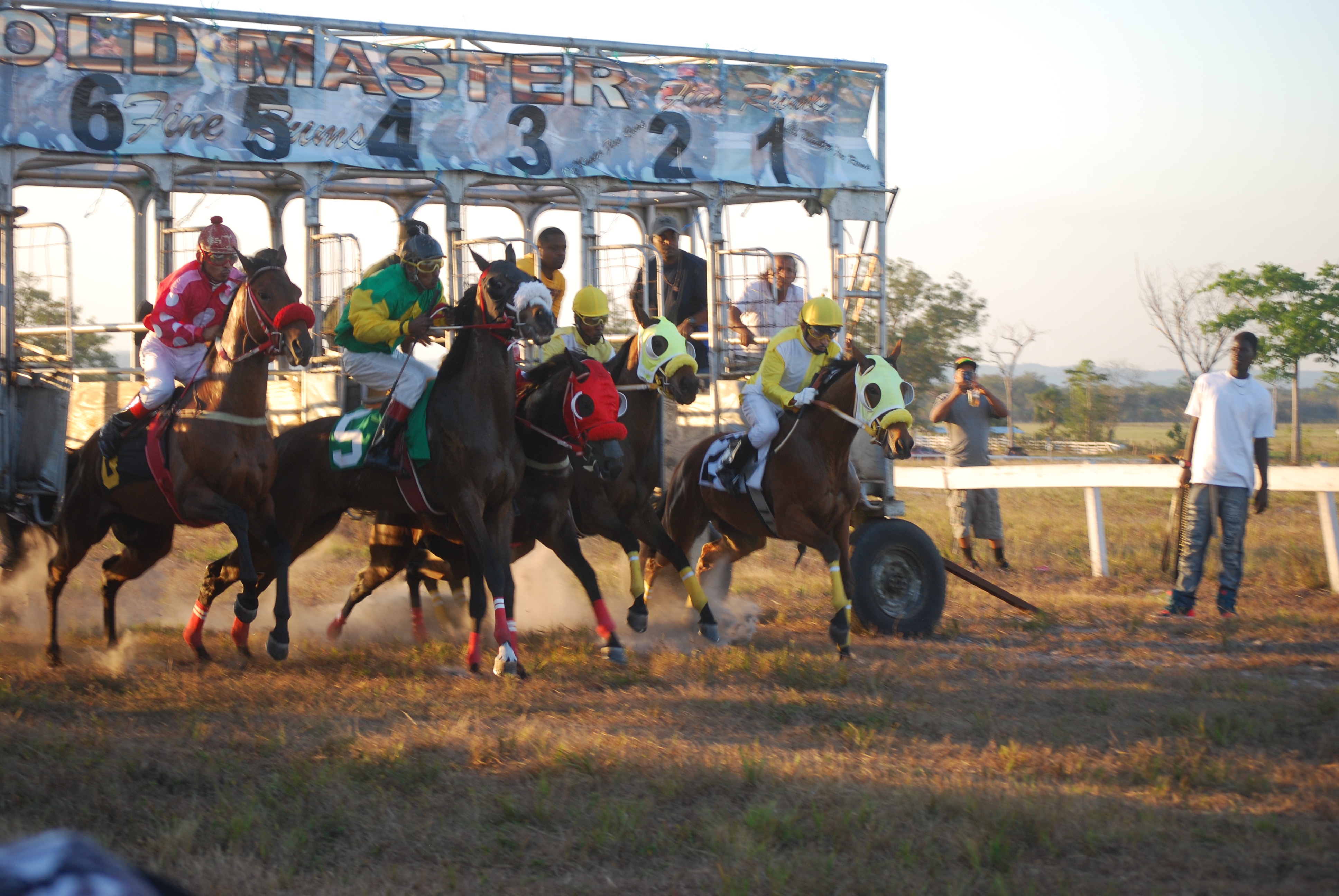 https://horseracingbelize.com/Digi Belize Speed It Stakes Start