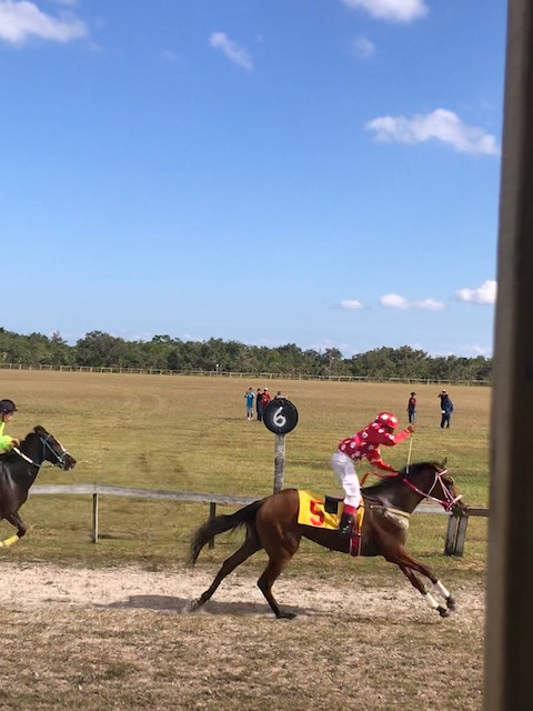 Gallery – Horse Racing Belize