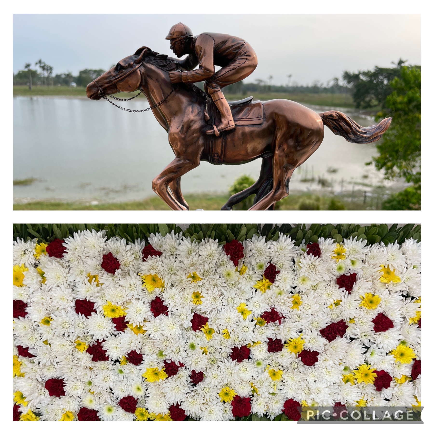 https://horseracingbelize.com/NGC Castleton Stakes Trophy/Floral Blanket