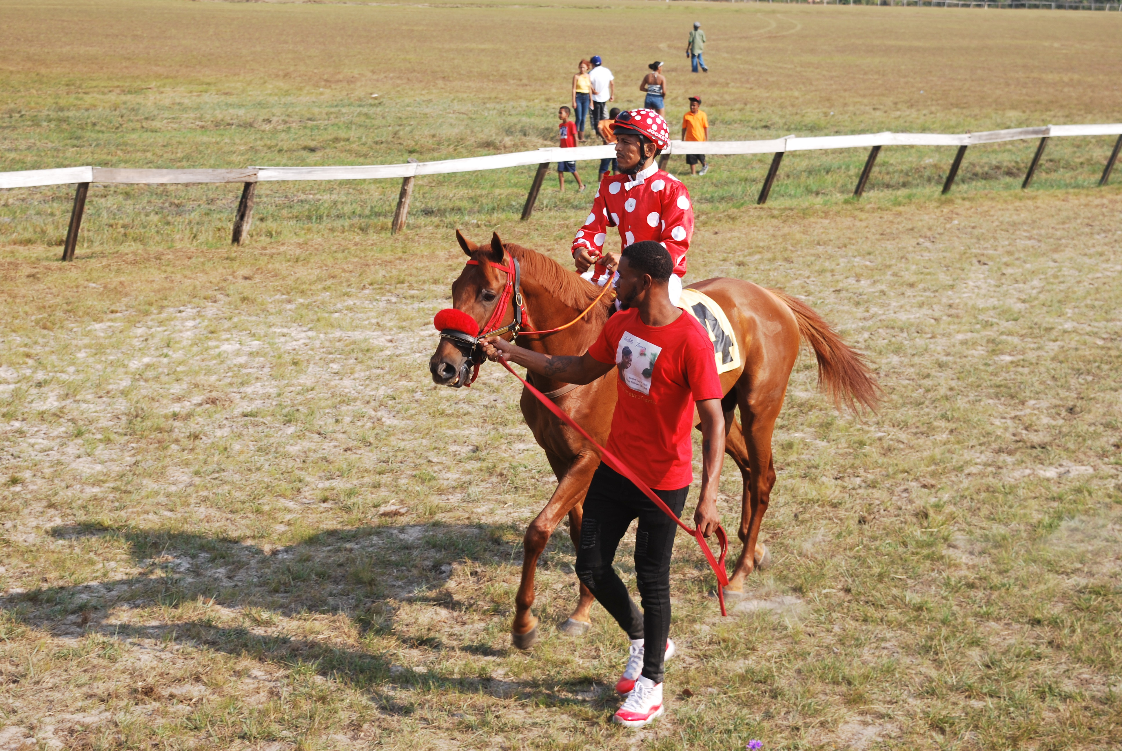 https://horseracingbelize.com/Street Legal