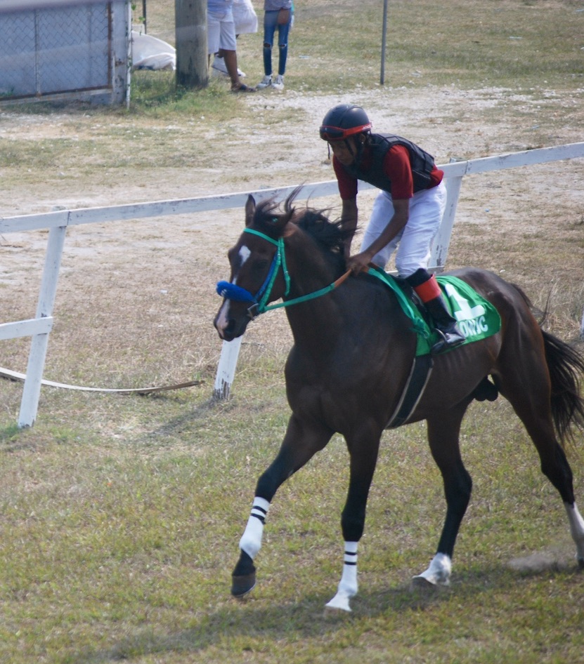 https://horseracingbelize.com/High Tide