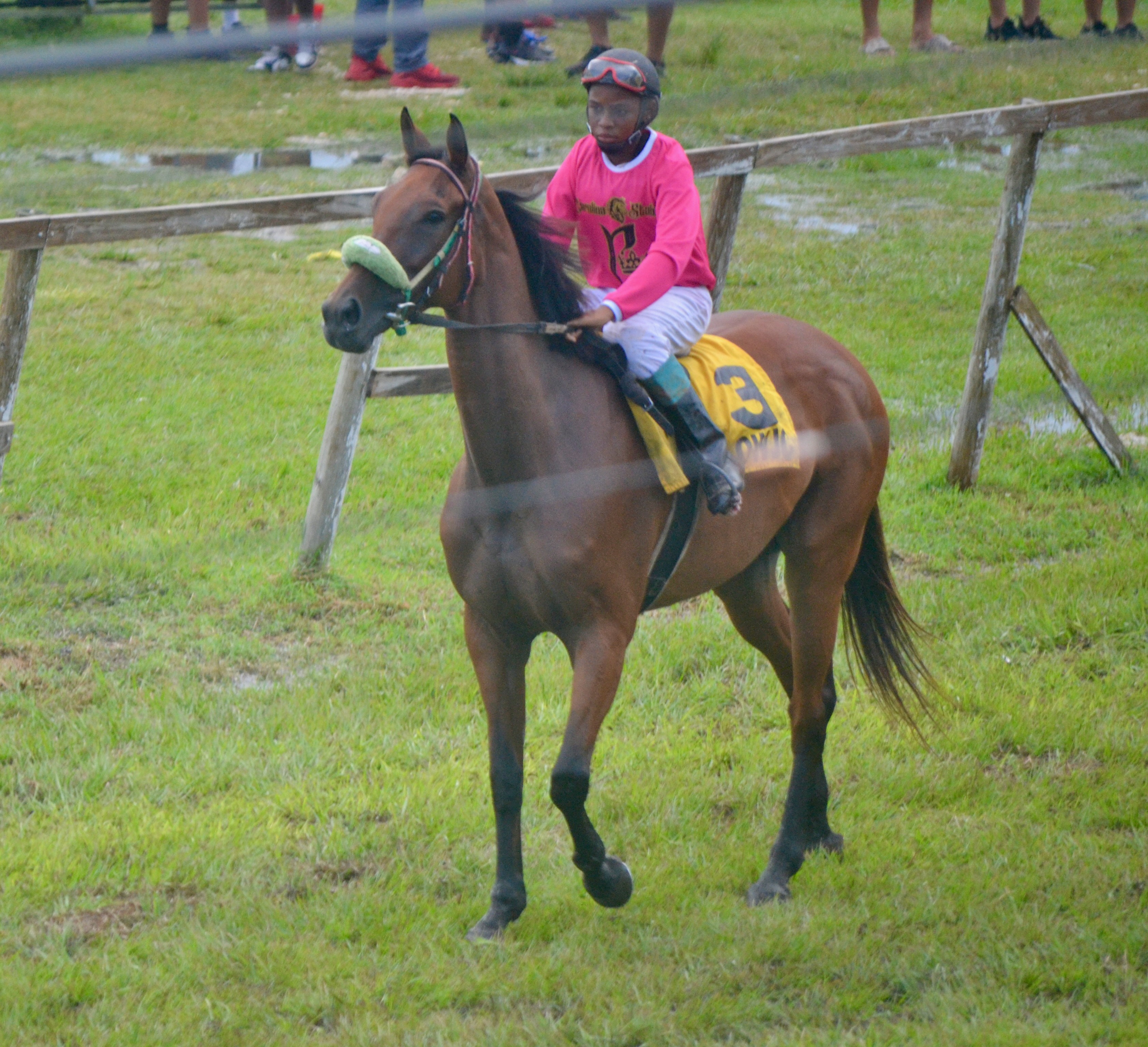 https://horseracingbelize.com/Carolina Crown