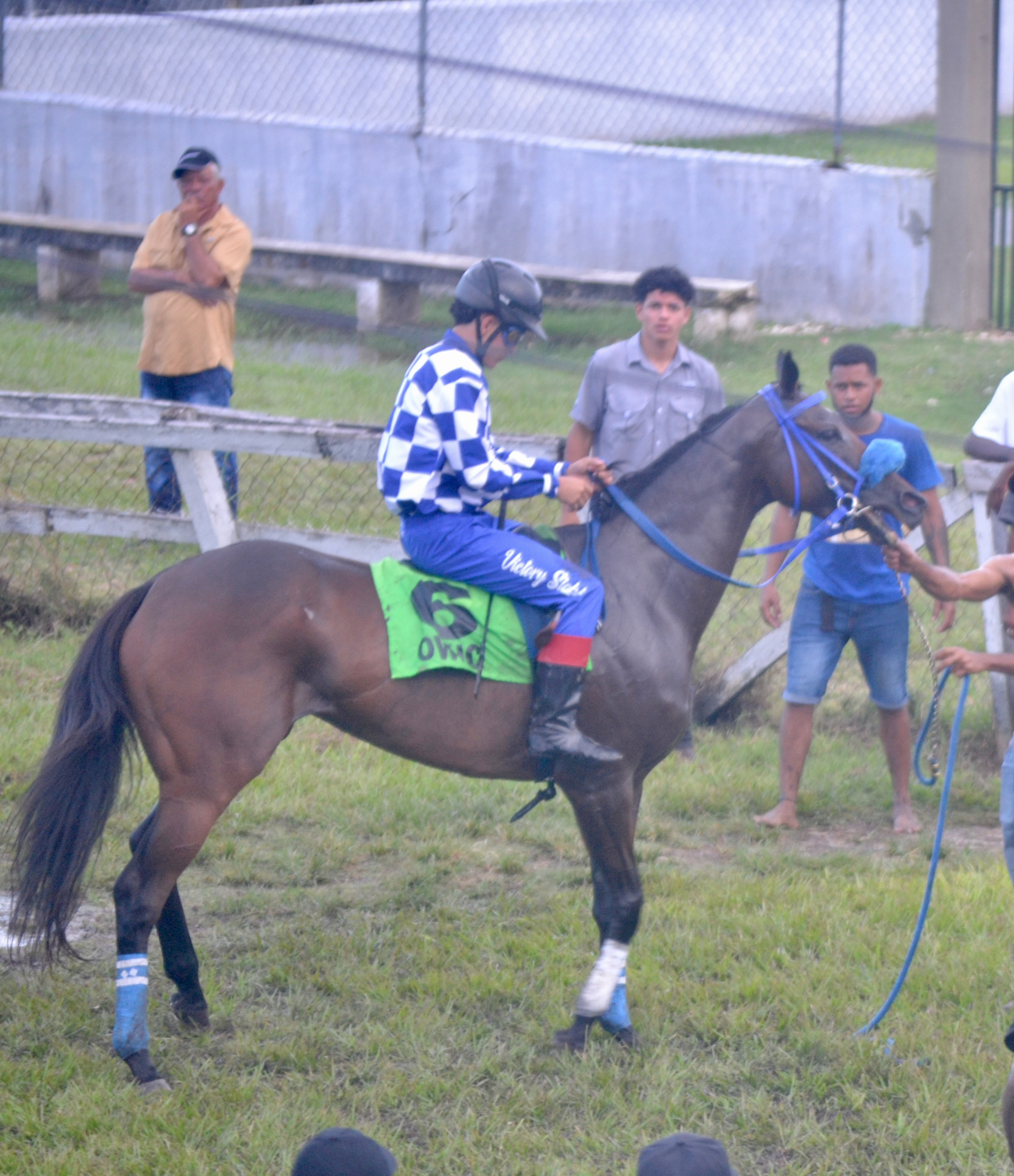 https://horseracingbelize.com/Guns and Roses