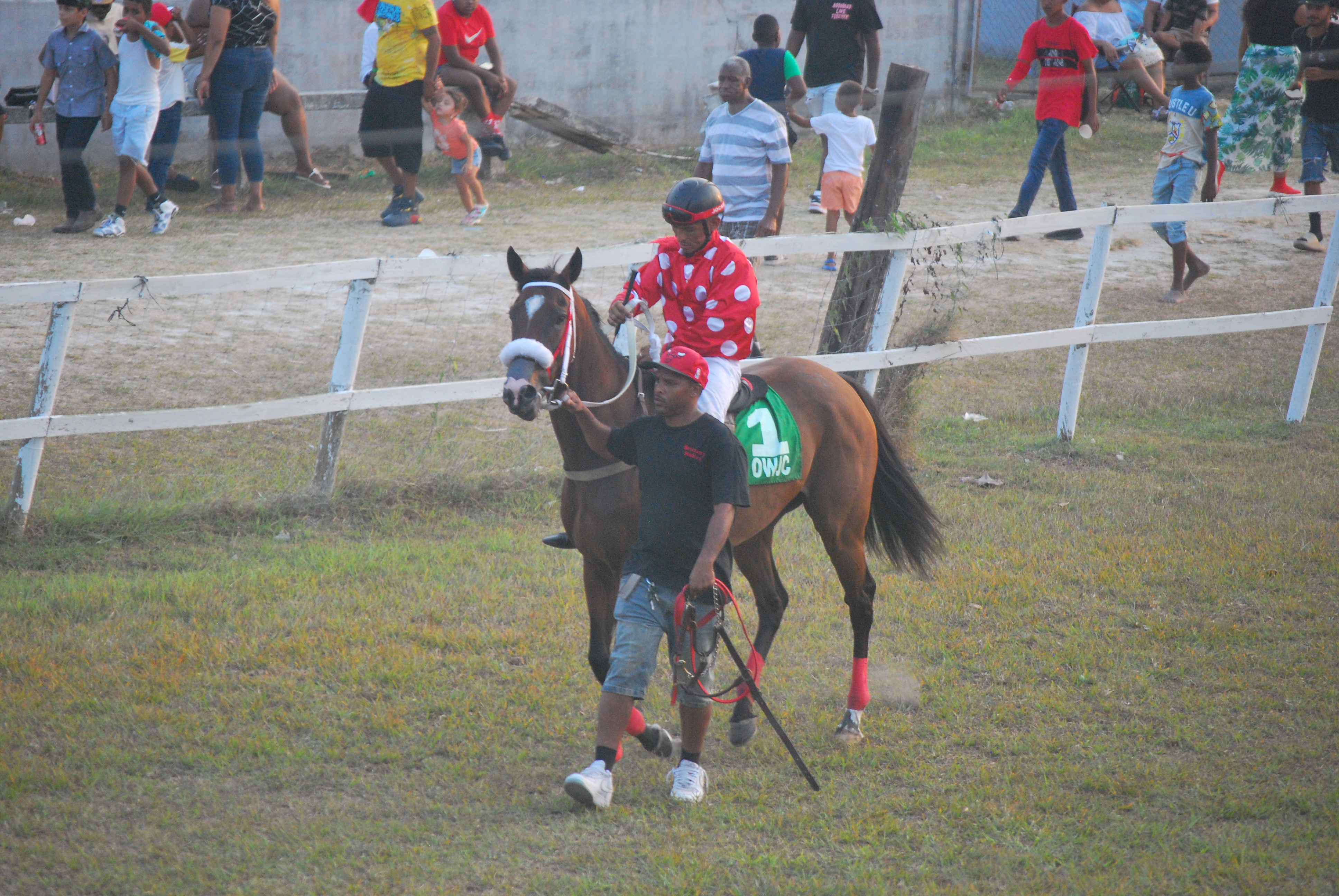 https://horseracingbelize.com/La Mexicana