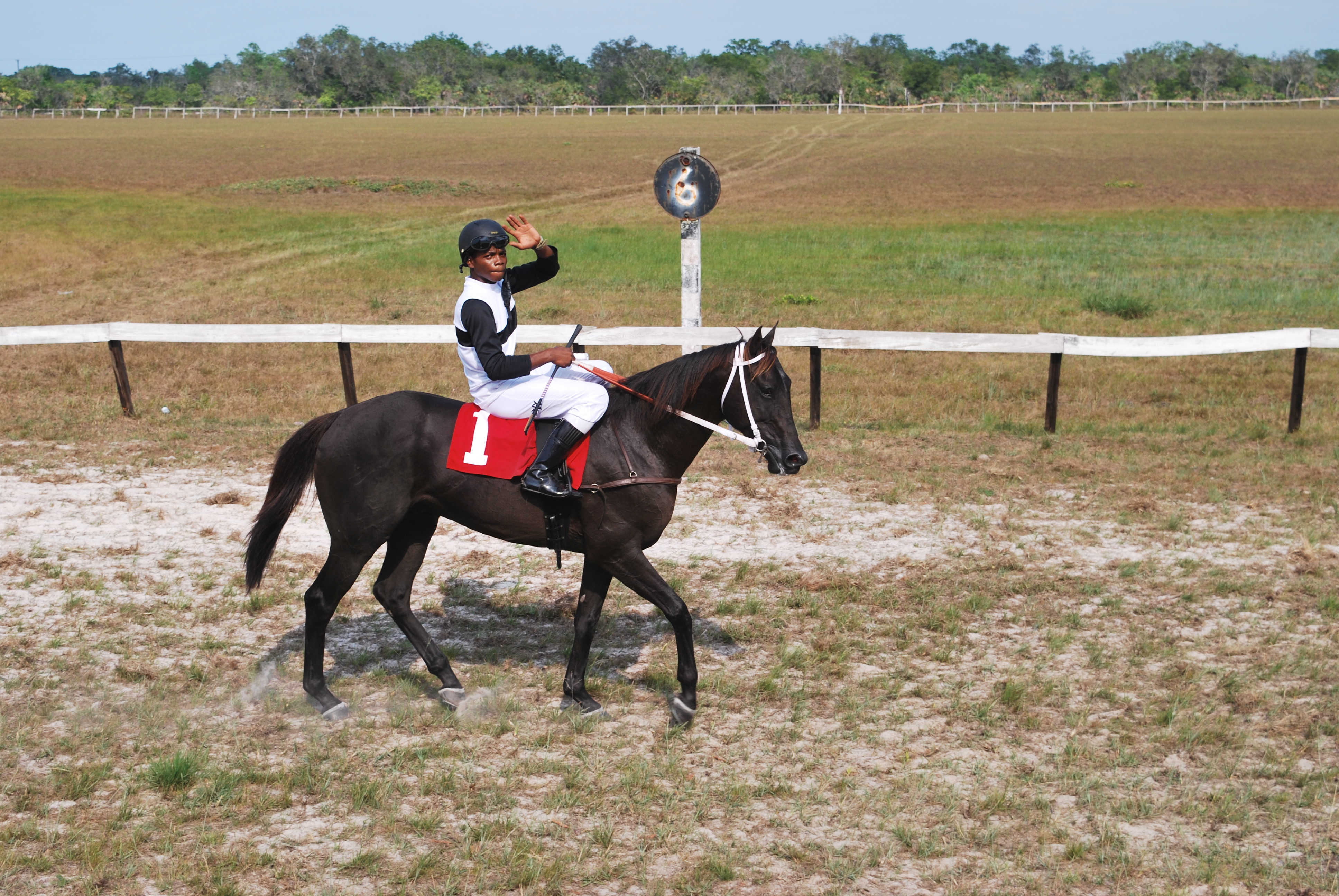 https://horseracingbelize.com/Gold Again