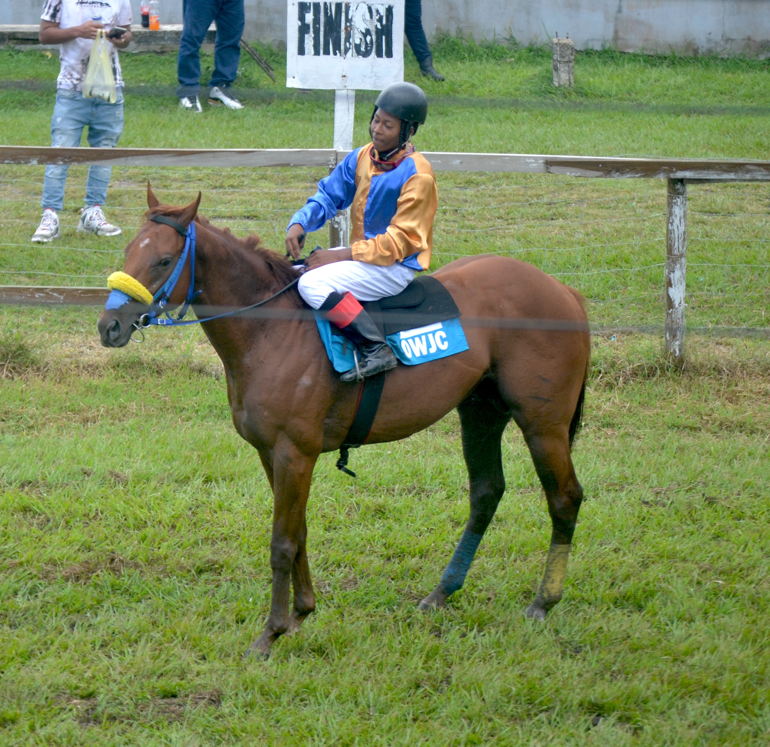 https://horseracingbelize.com/Joker Exposed