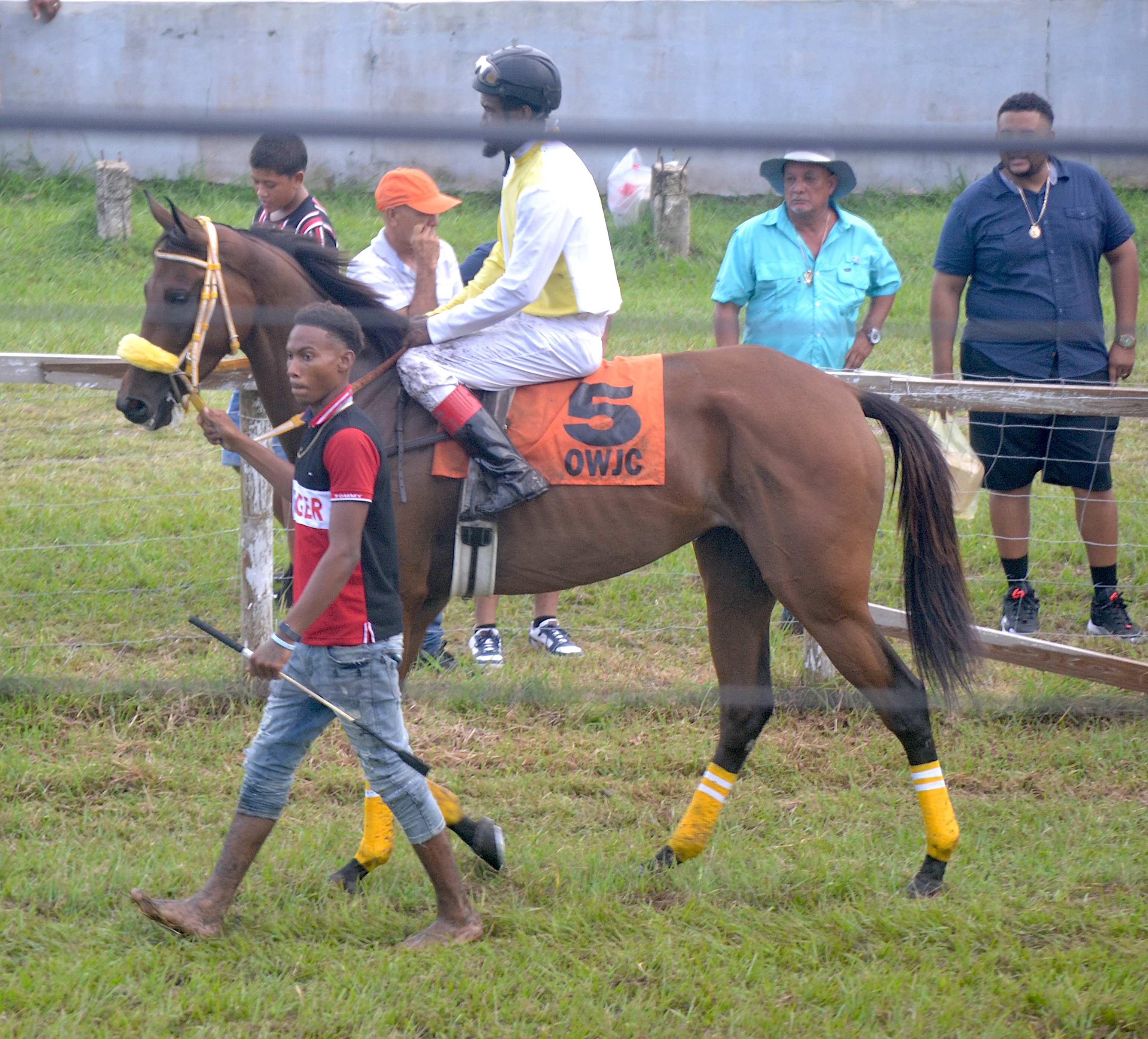 https://horseracingbelize.com/Kicking It