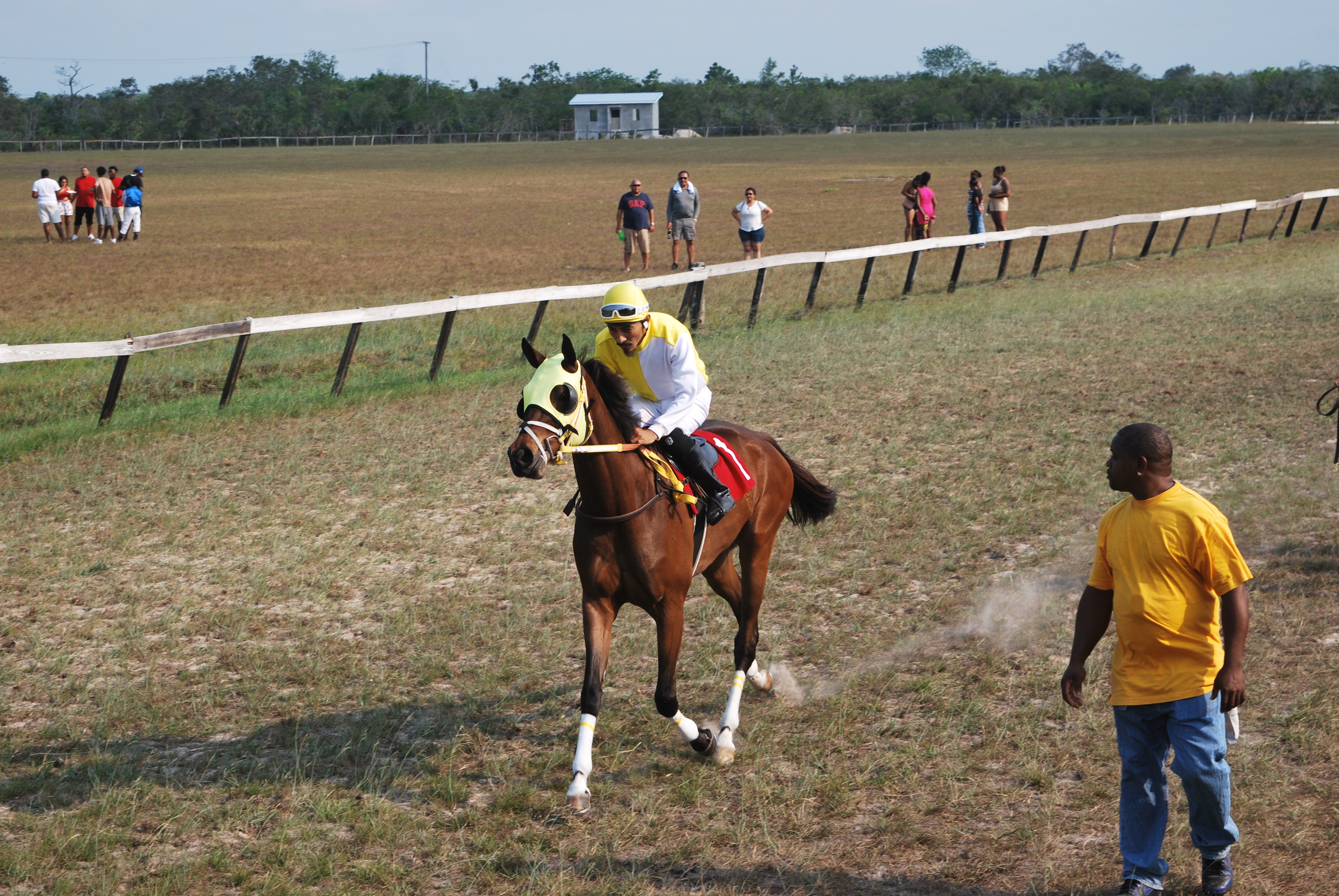 https://horseracingbelize.com/May May