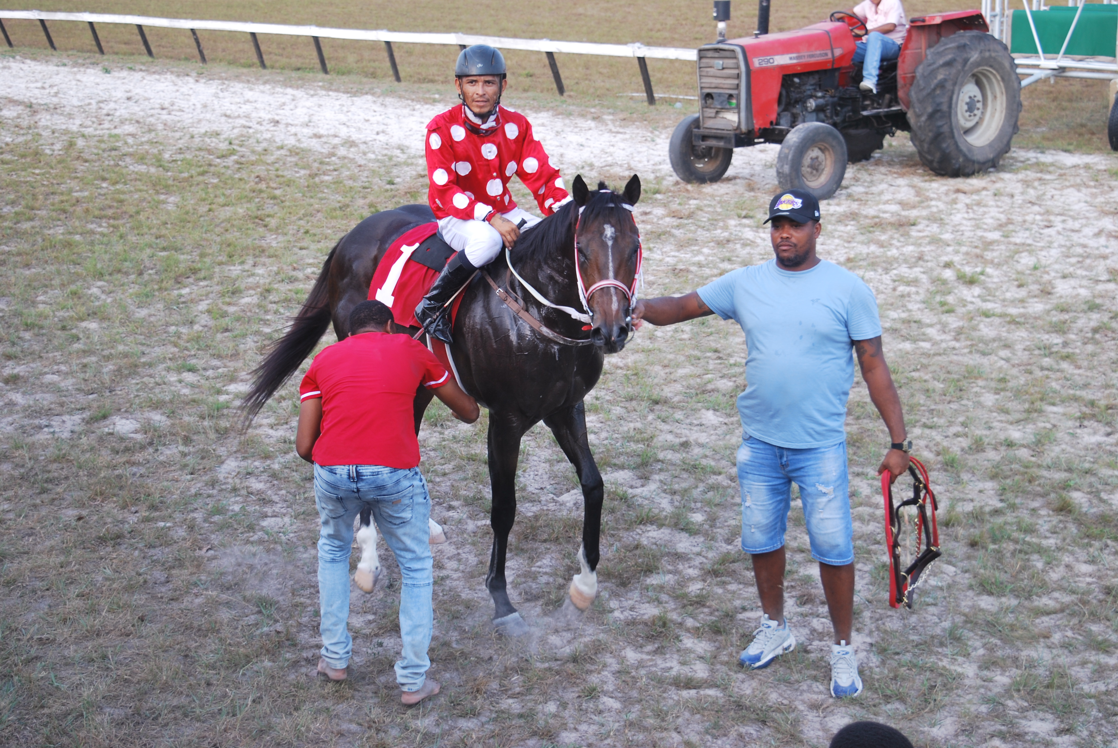 https://horseracingbelize.com/Mitole Run