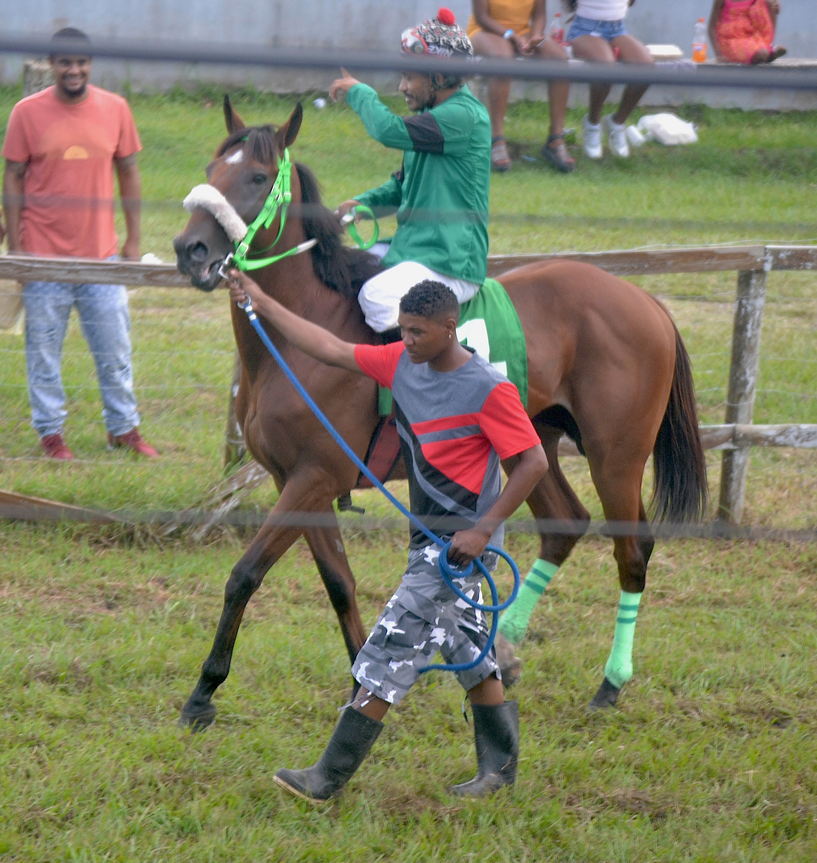 https://horseracingbelize.com/Narco