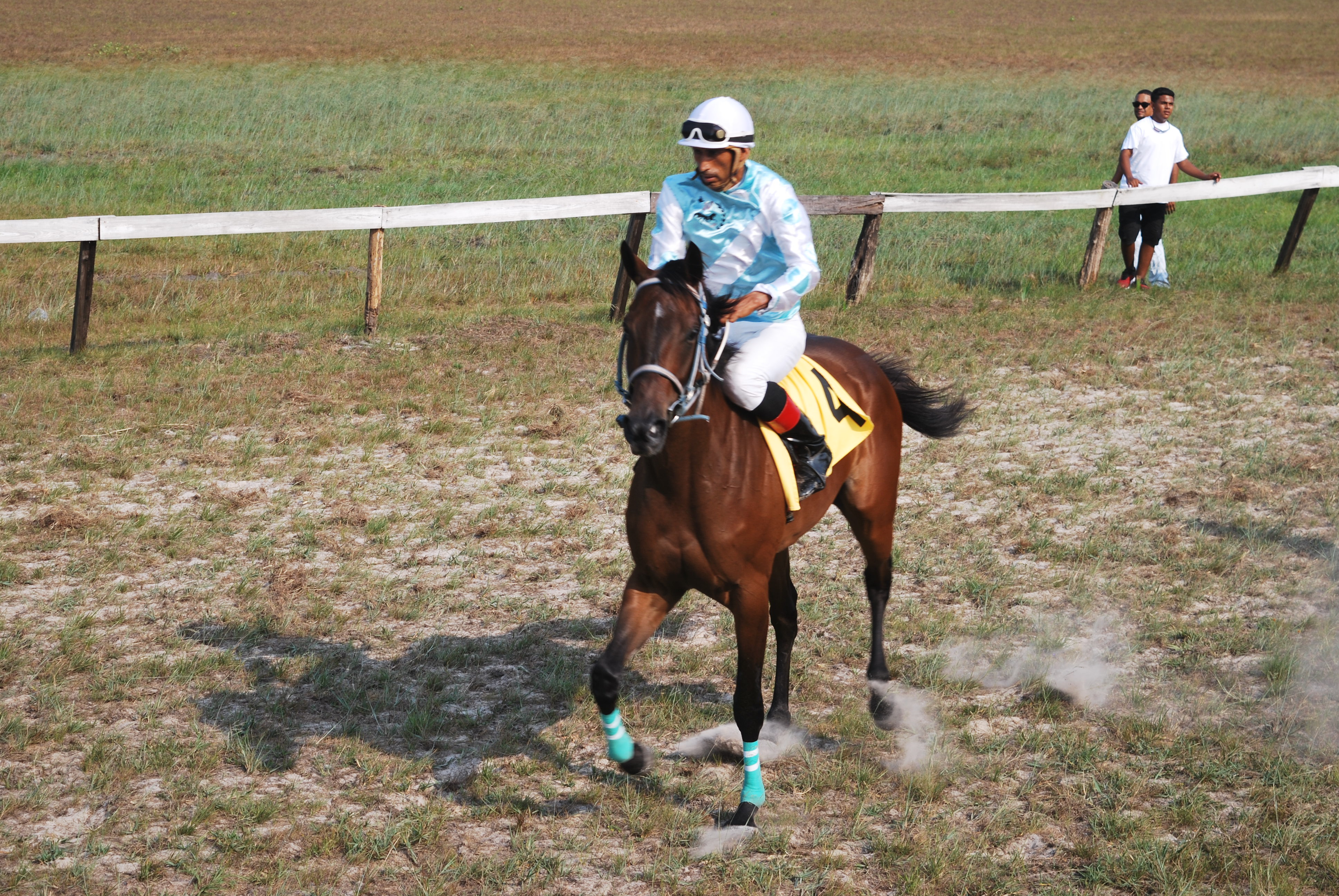 https://horseracingbelize.com/Princess E