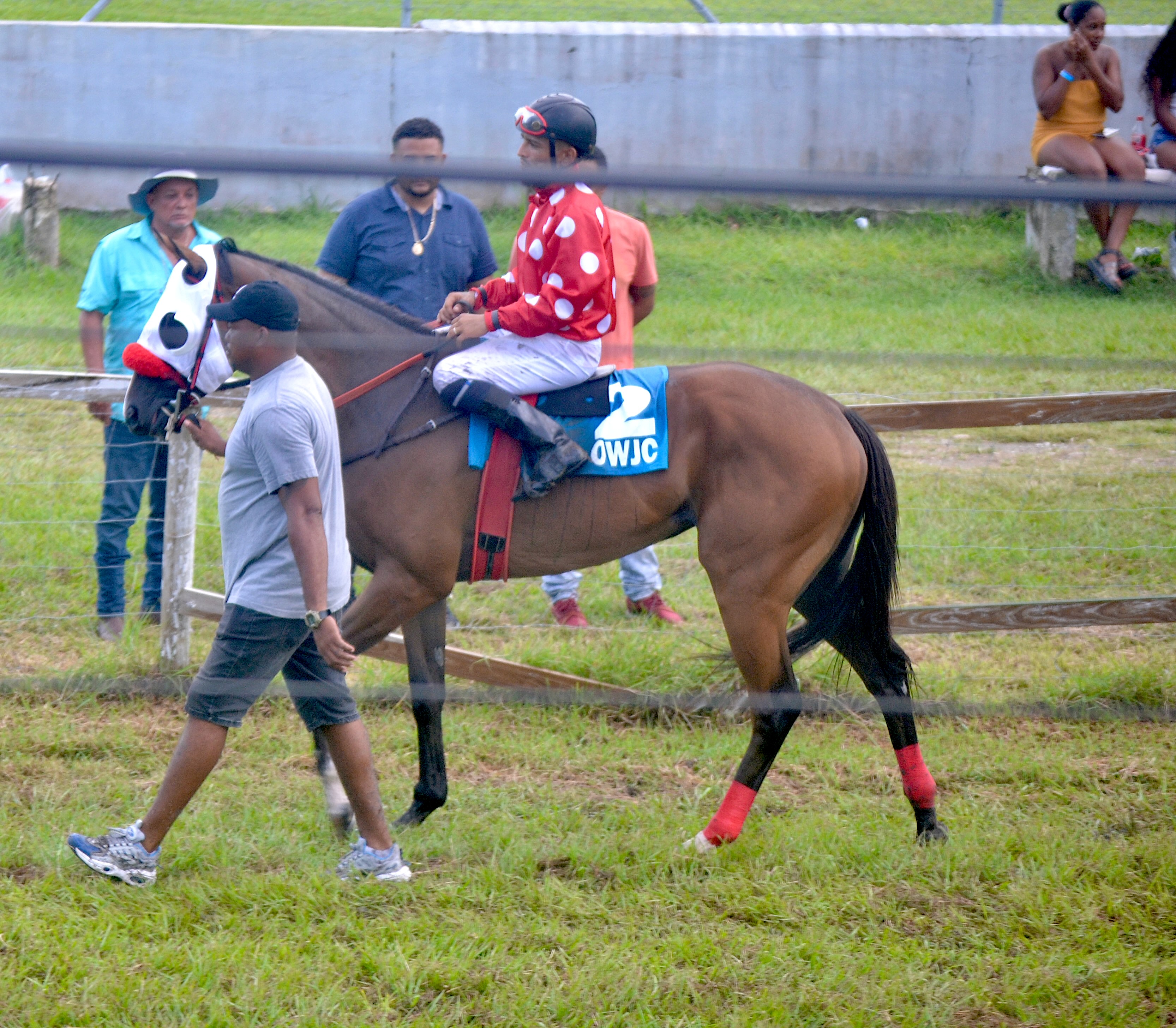 https://horseracingbelize.com/Thatz A Lady