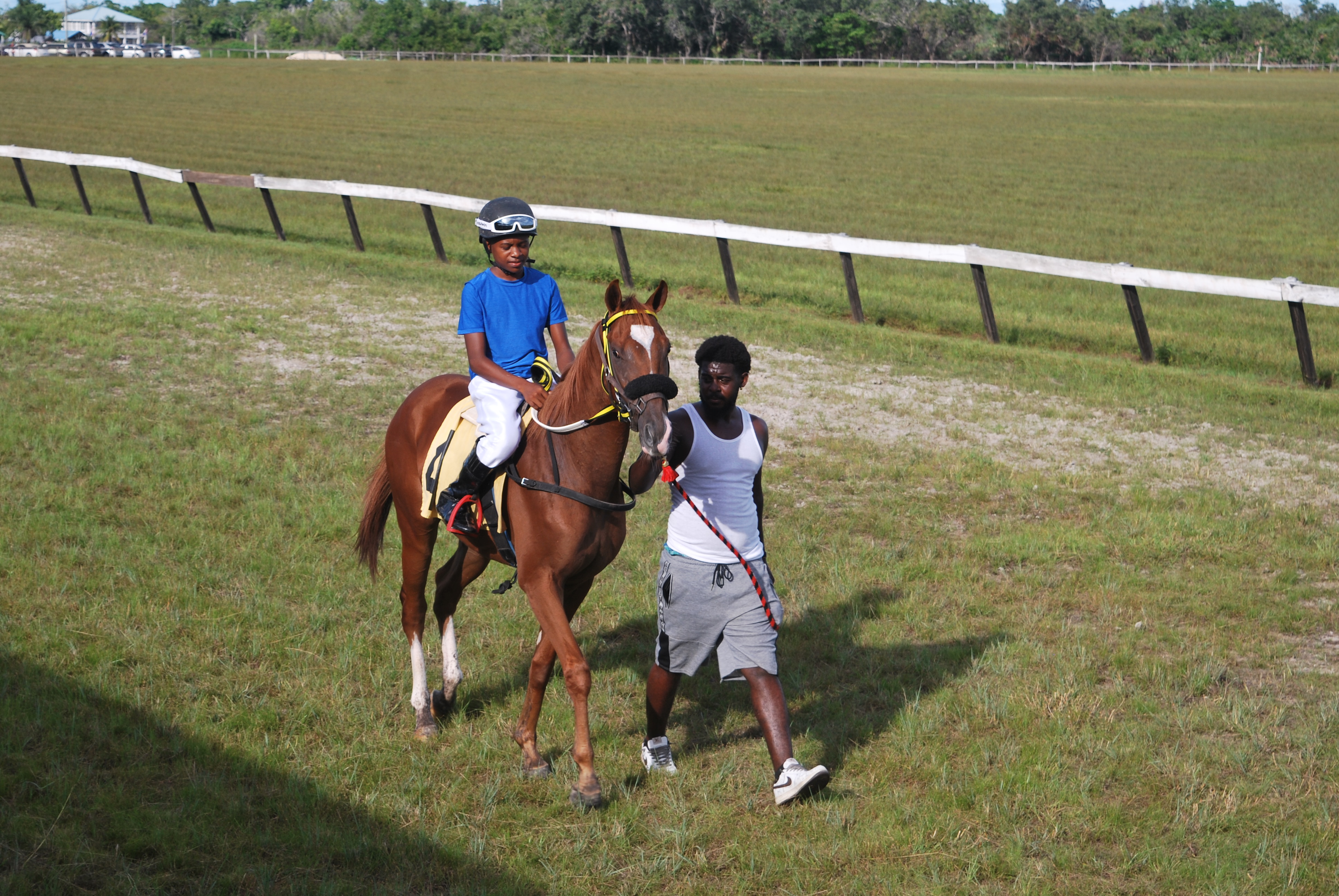 https://horseracingbelize.com/All Mighty