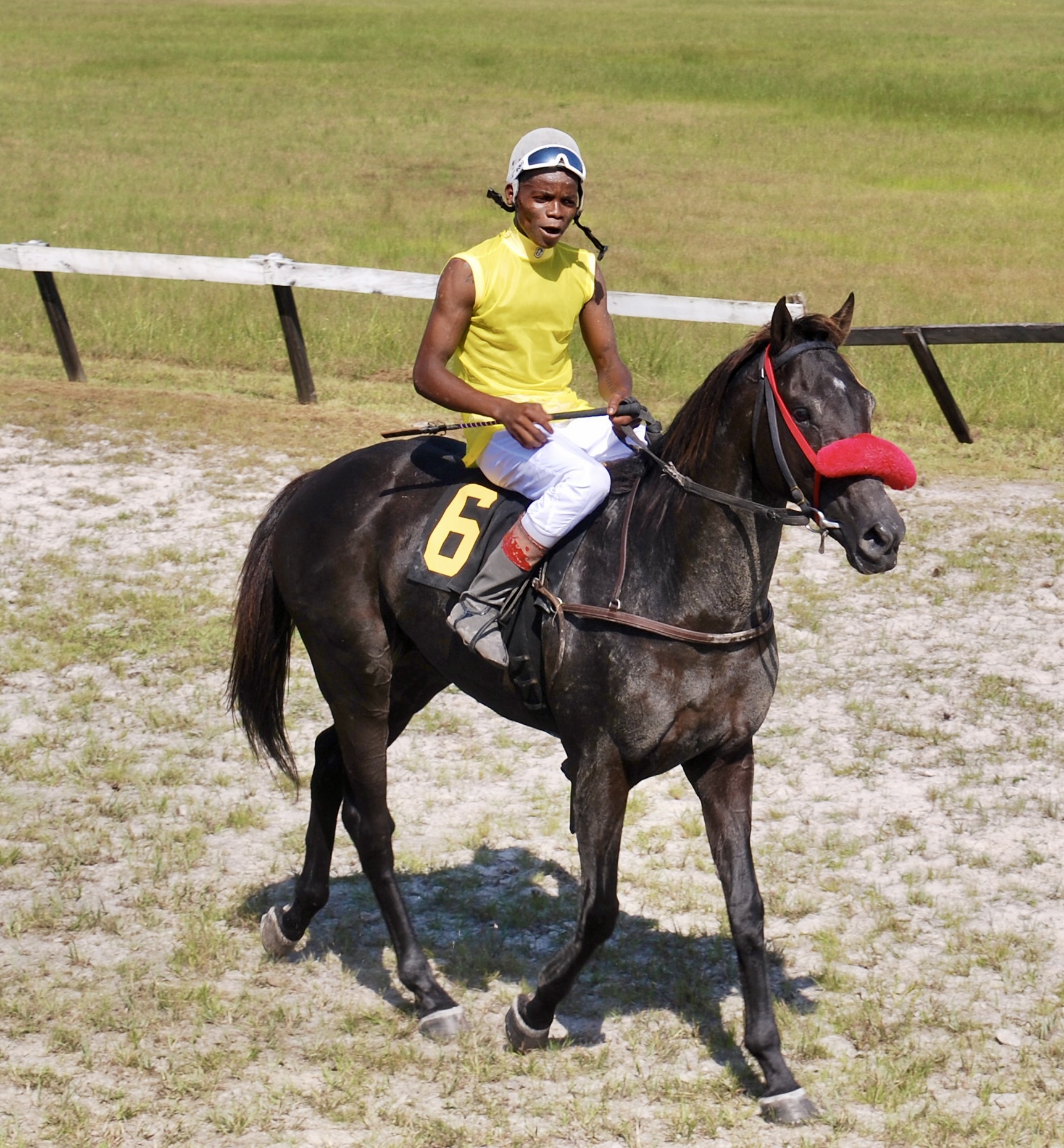 https://horseracingbelize.com/Gold Again