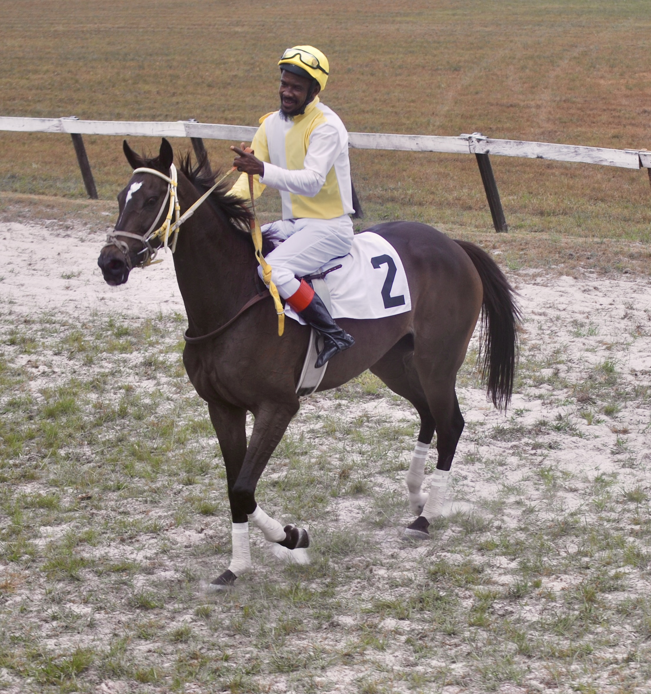 https://horseracingbelize.com/Overboard
