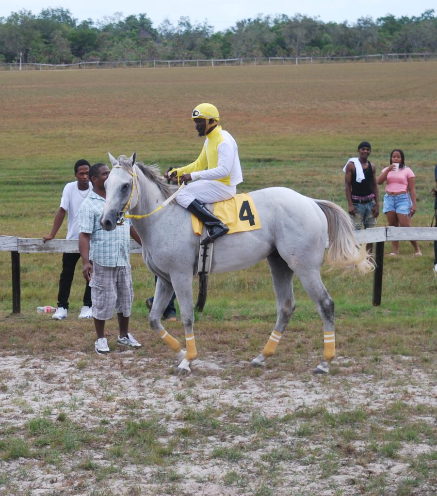 https://horseracingbelize.com/No Doubt