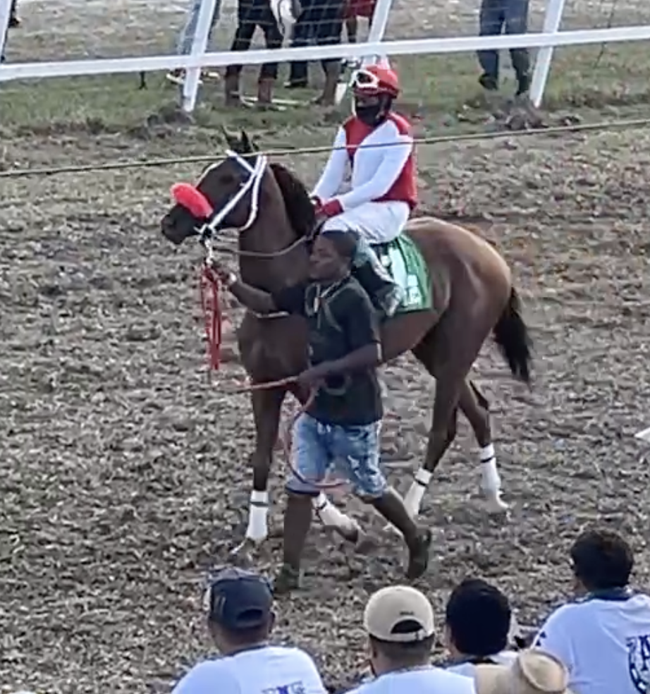 https://horseracingbelize.com/Amira