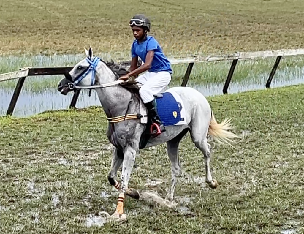 https://horseracingbelize.com/Ashanti