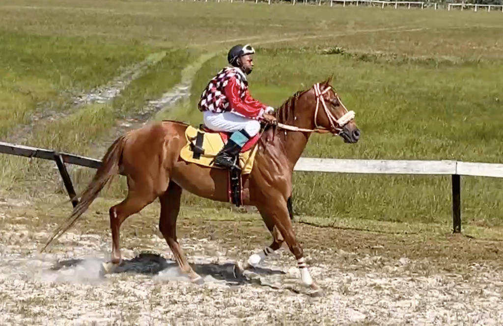 https://horseracingbelize.com/Bomb