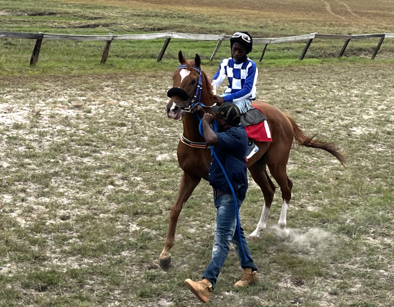 https://horseracingbelize.com/Calamity