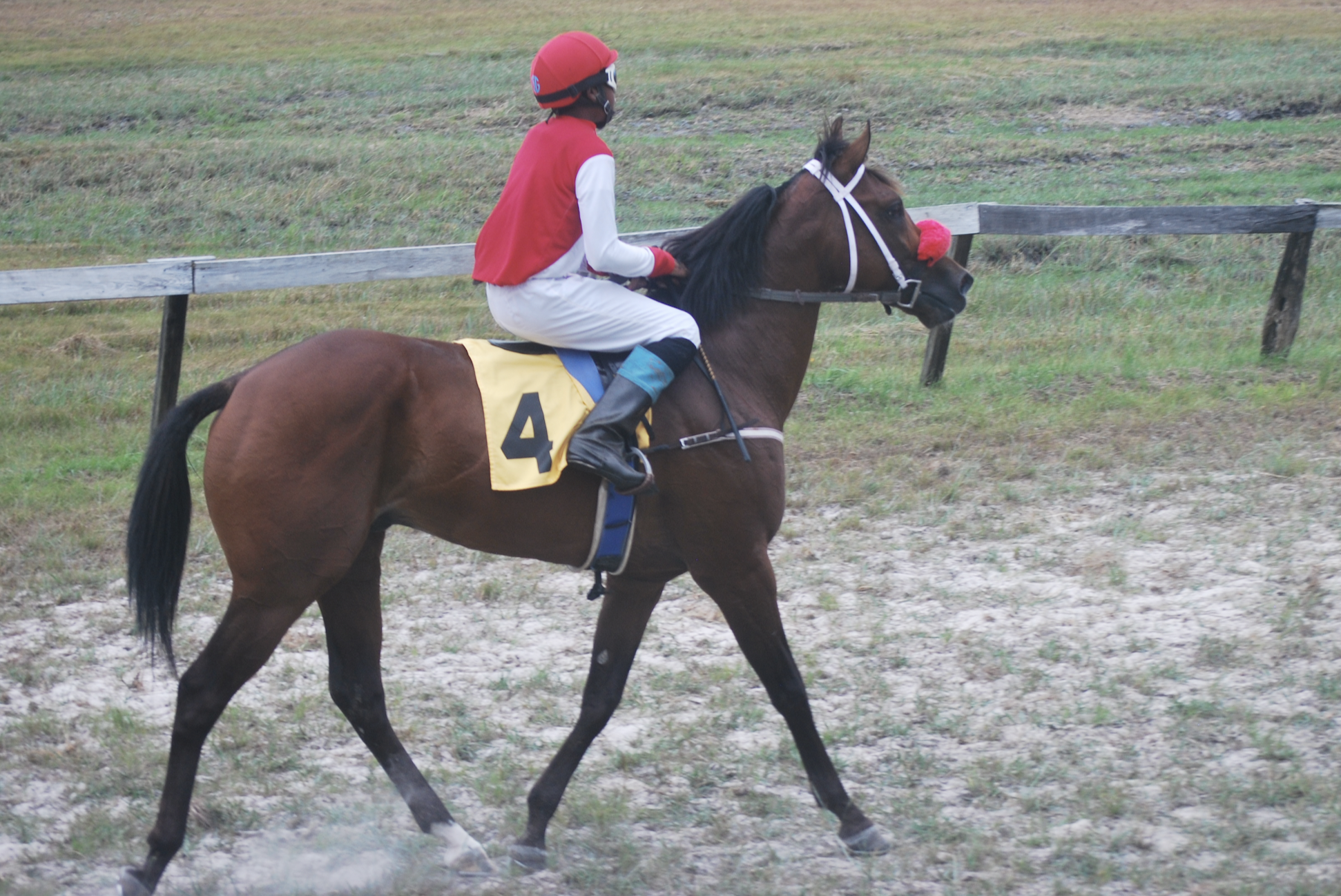 https://horseracingbelize.com/Covid