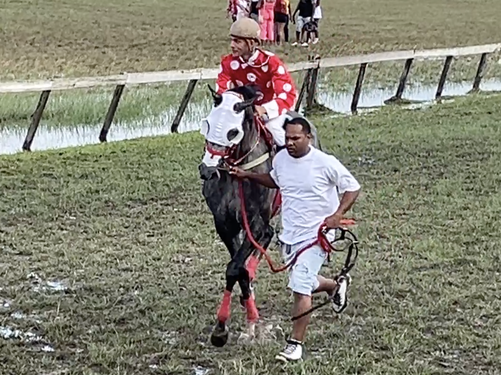 https://horseracingbelize.com/EB Zoom