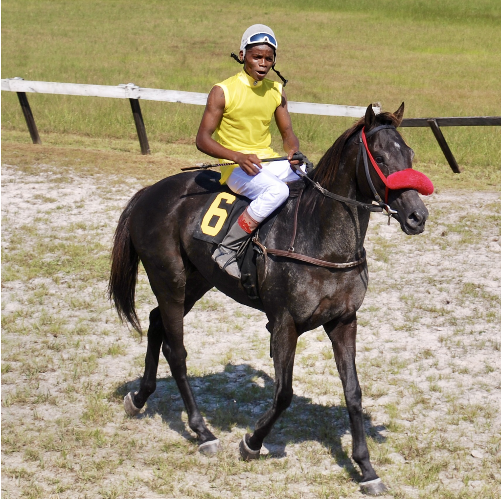 https://horseracingbelize.com/Gold Again
