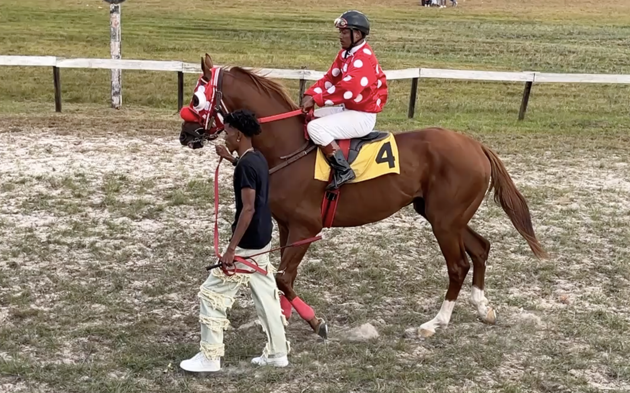 https://horseracingbelize.com/Gunner
