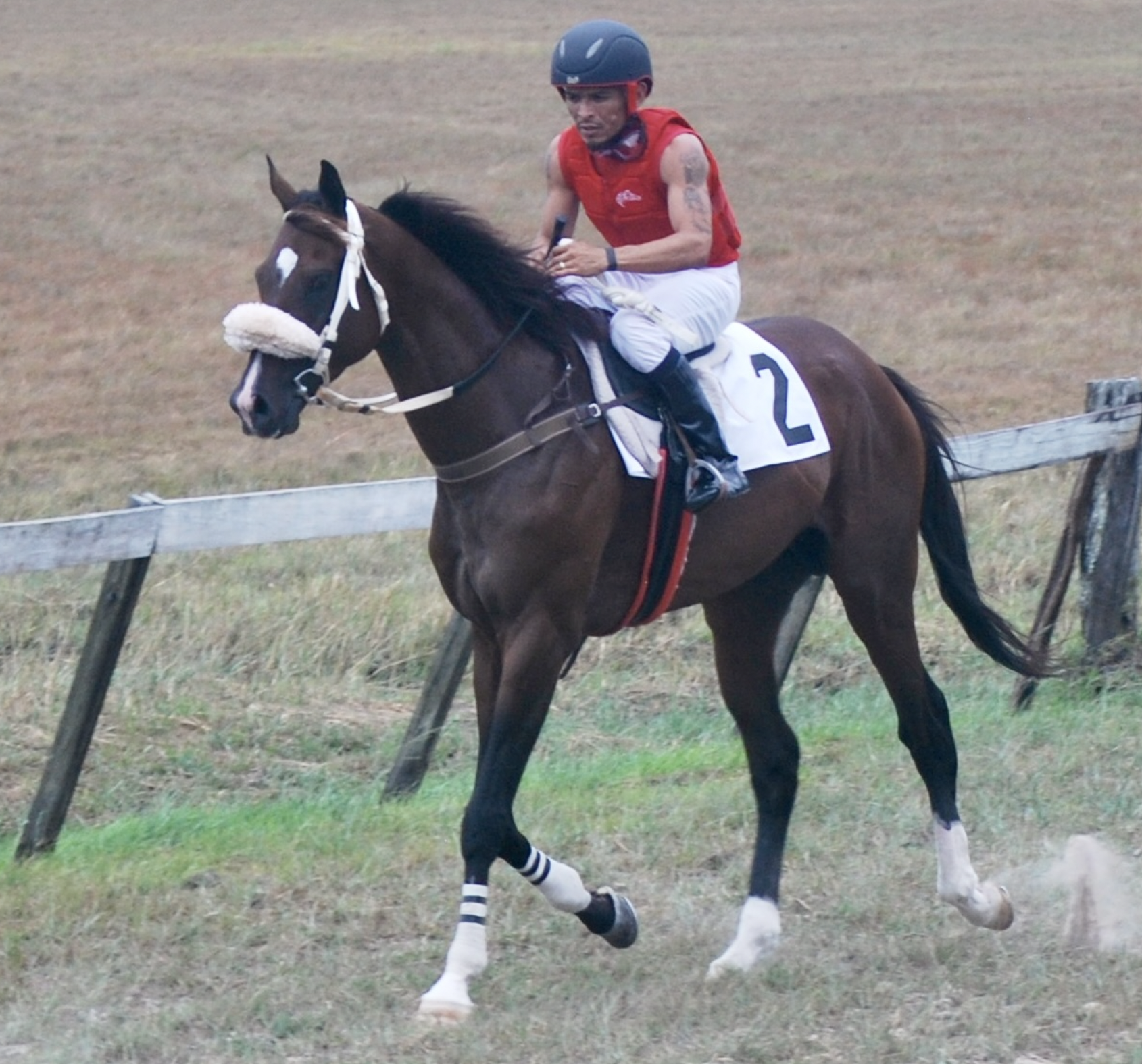 https://horseracingbelize.com/High Tide