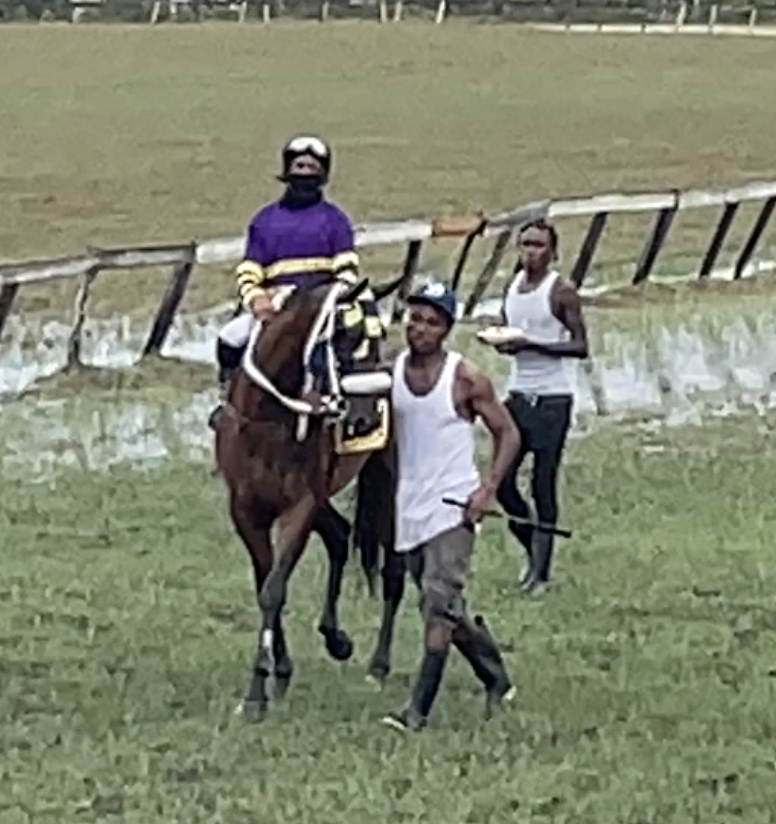 https://horseracingbelize.com/Hit and Run