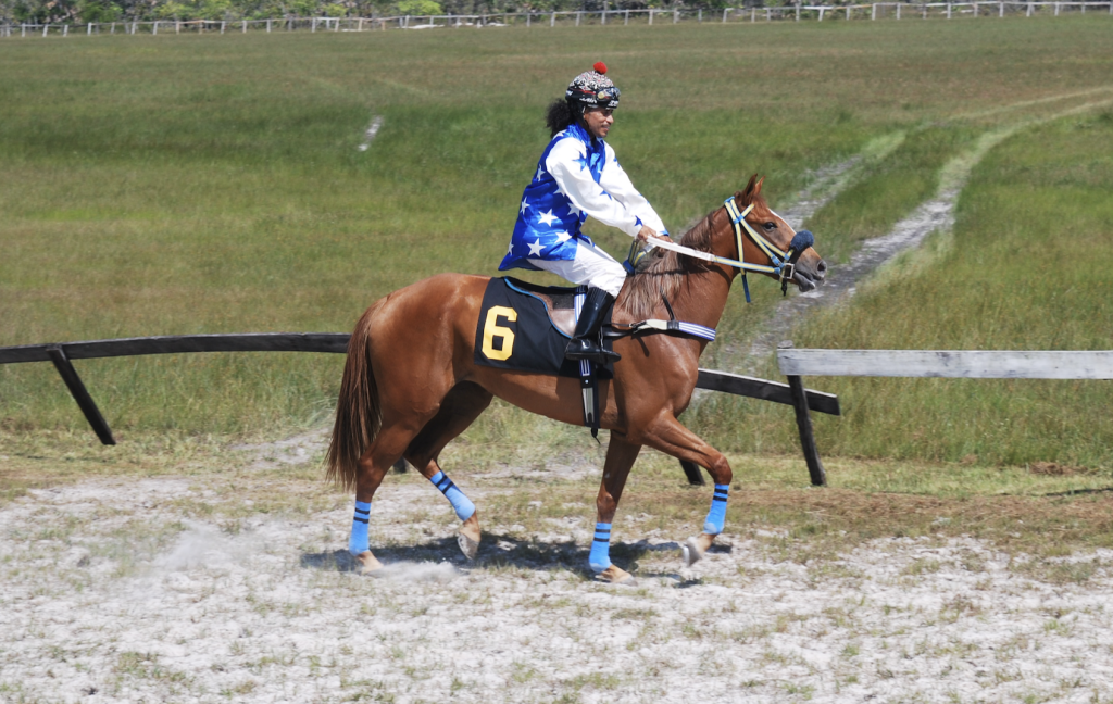 https://horseracingbelize.com/Khaleesi