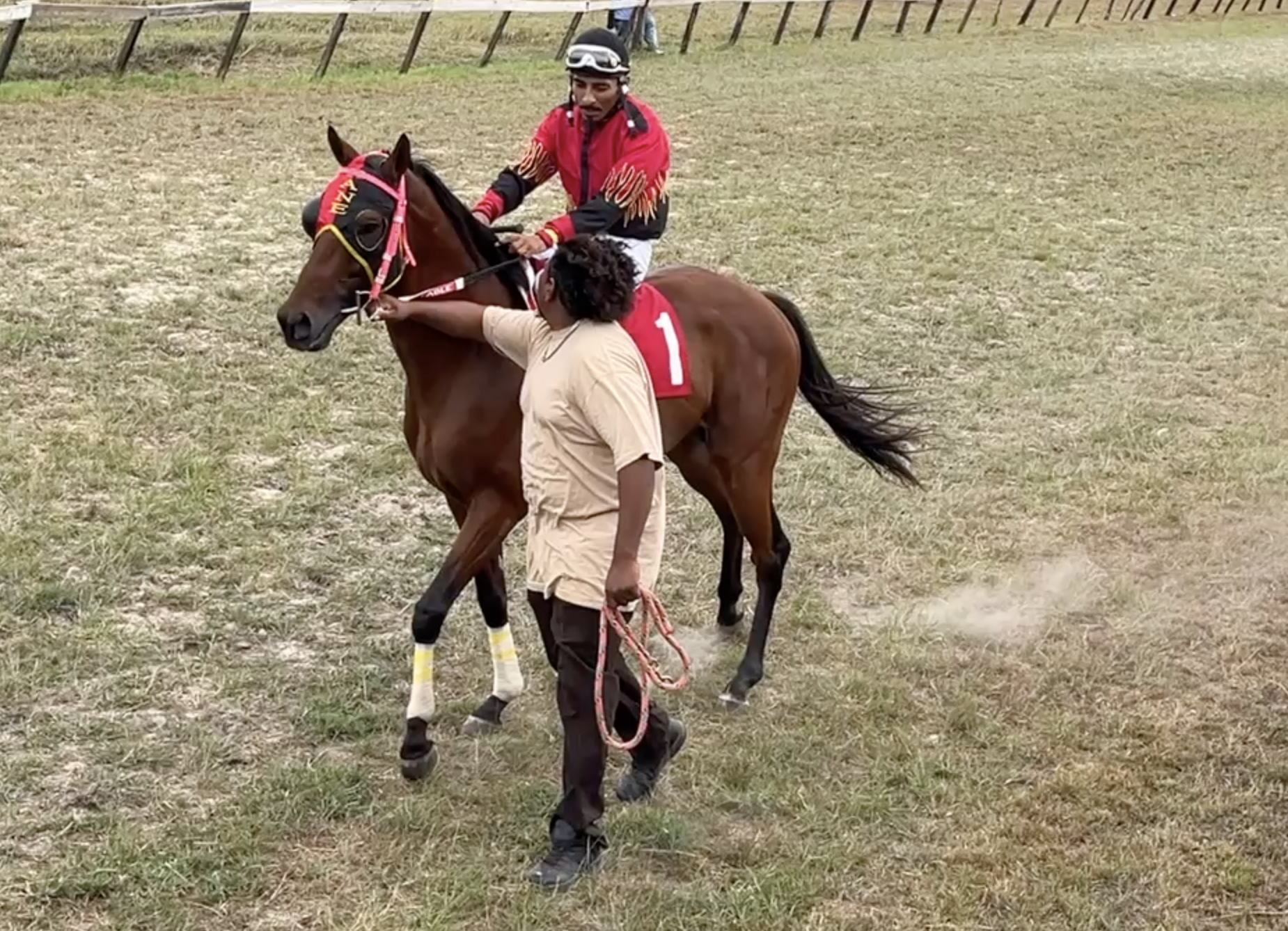 https://horseracingbelize.com/Little Kane