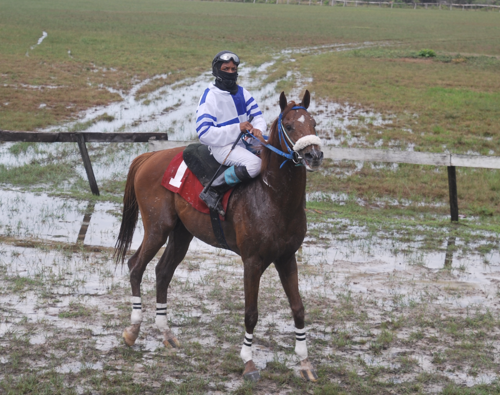 https://horseracingbelize.com/Regalo