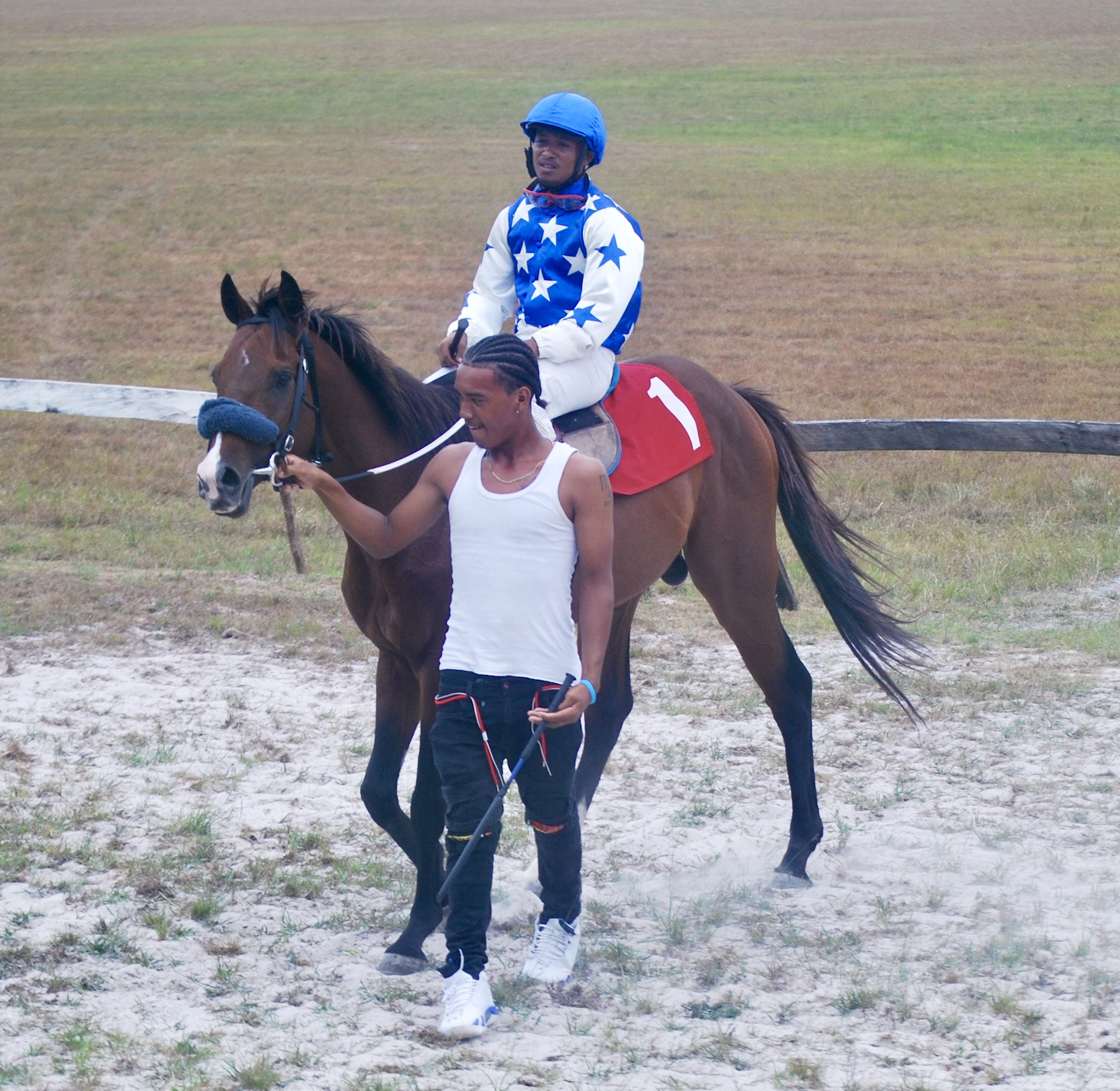 https://horseracingbelize.com/Royal Song