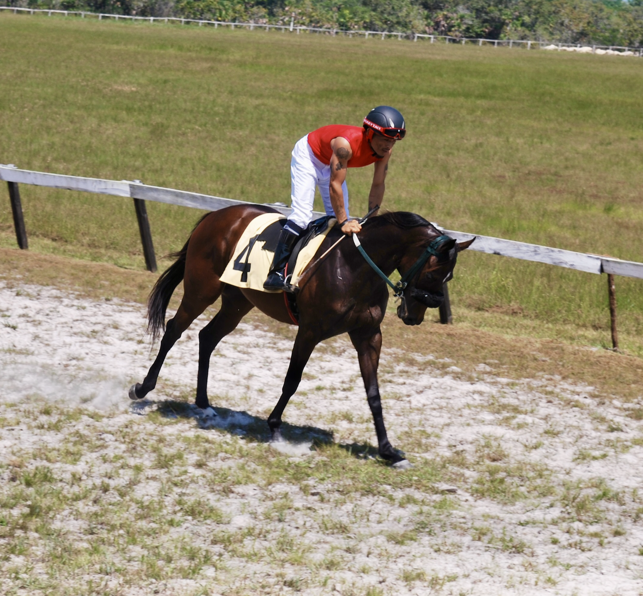 https://horseracingbelize.com/Silent Creek
