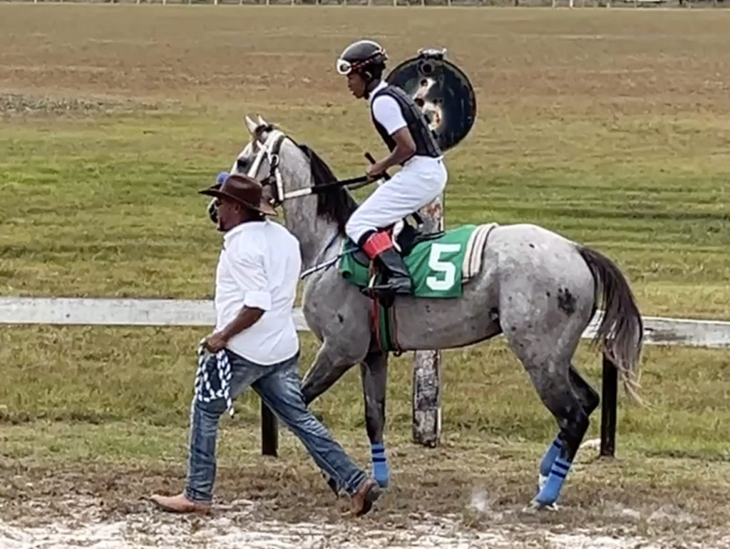 https://horseracingbelize.com/Tropical Storm