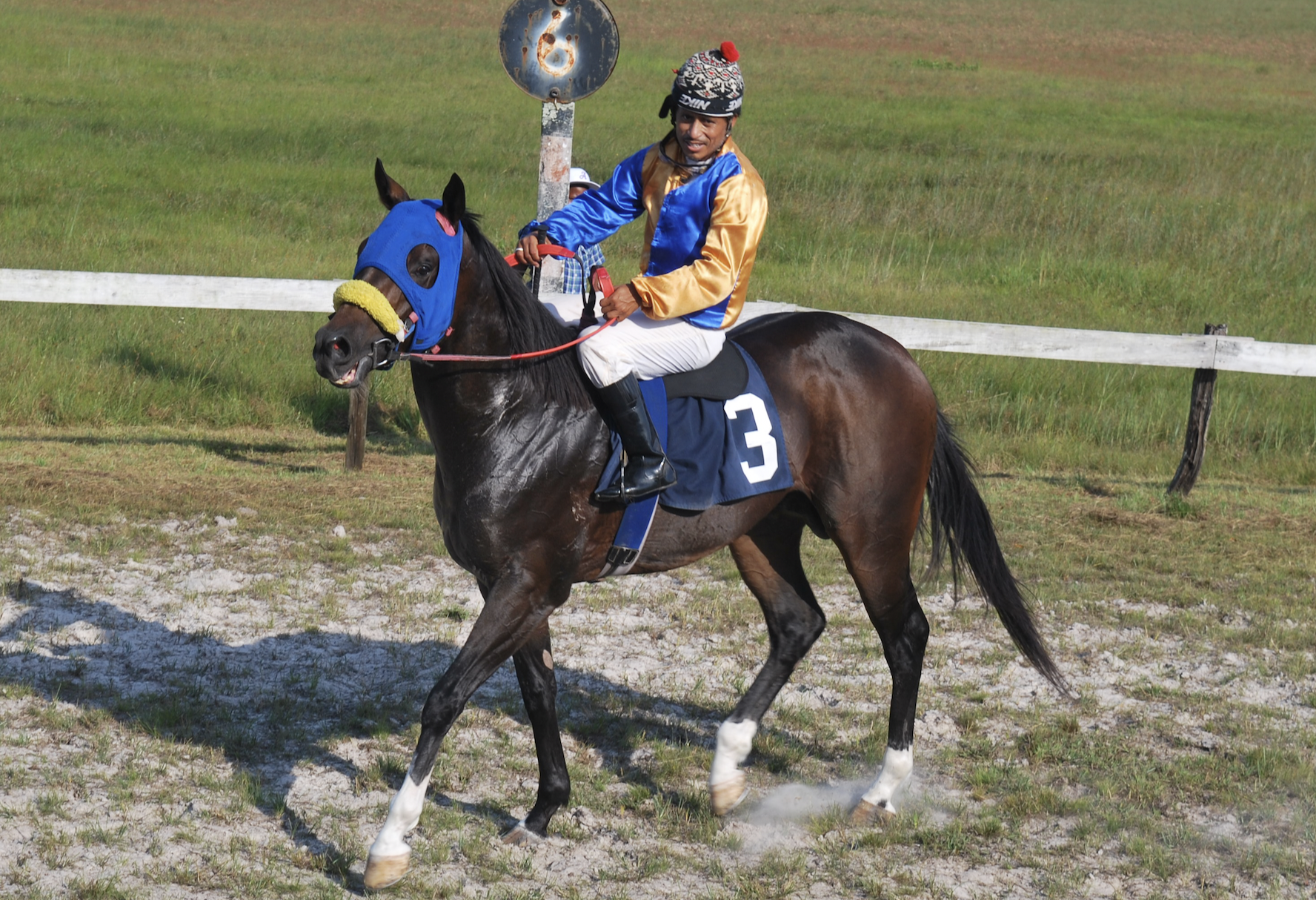 https://horseracingbelize.com/Valiant