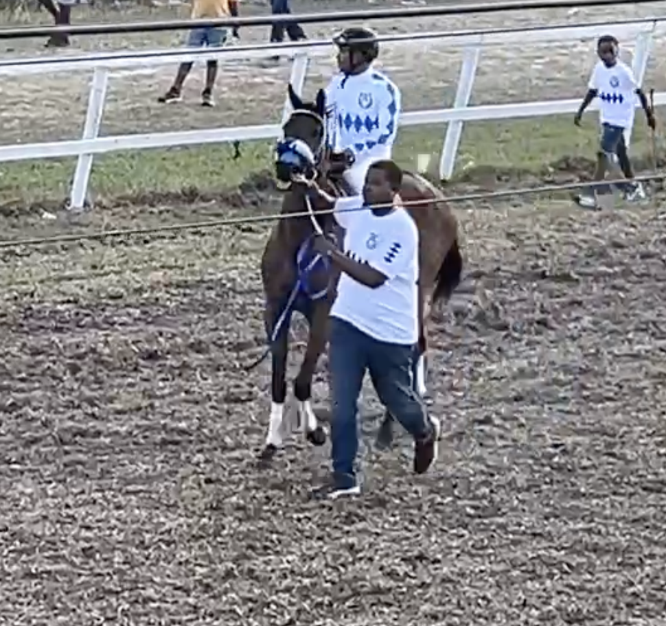 https://horseracingbelize.com/Watch Dis
