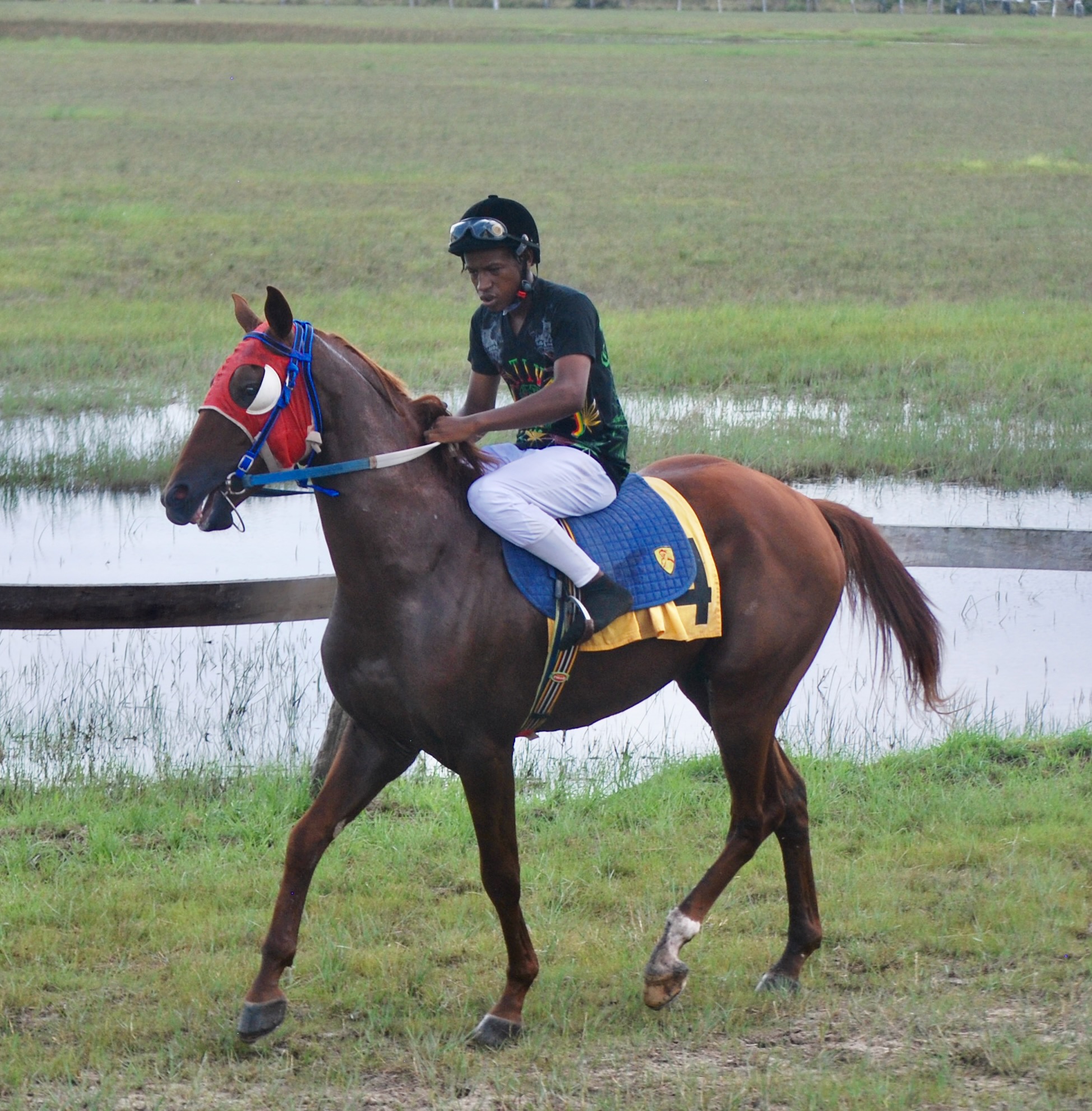 https://horseracingbelize.com/Super Boy