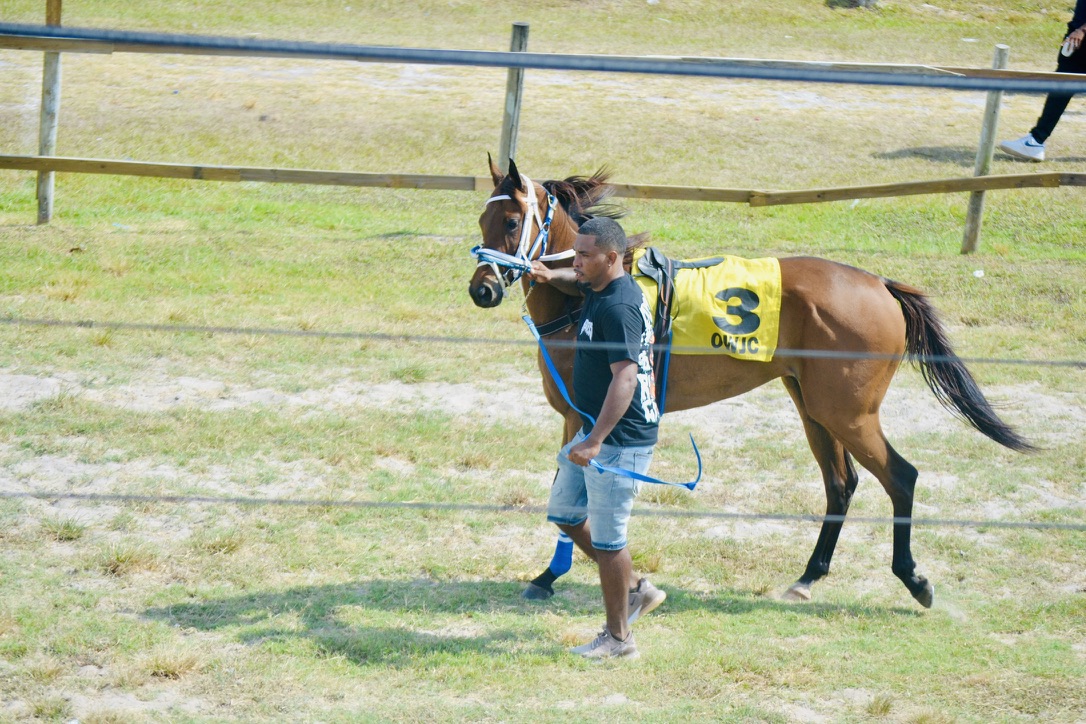 https://horseracingbelize.com/Watch Dis