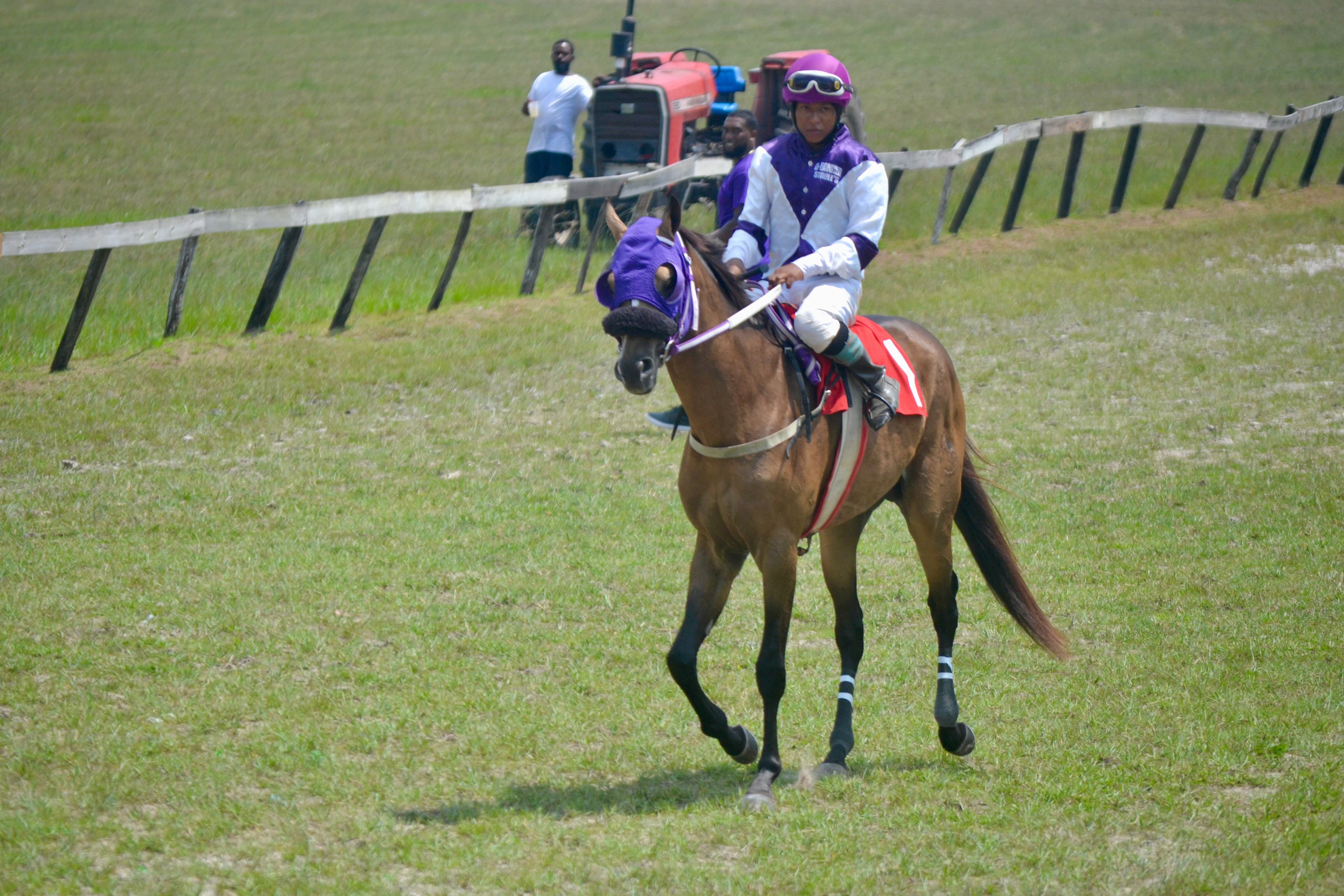 https://horseracingbelize.com/Blaze