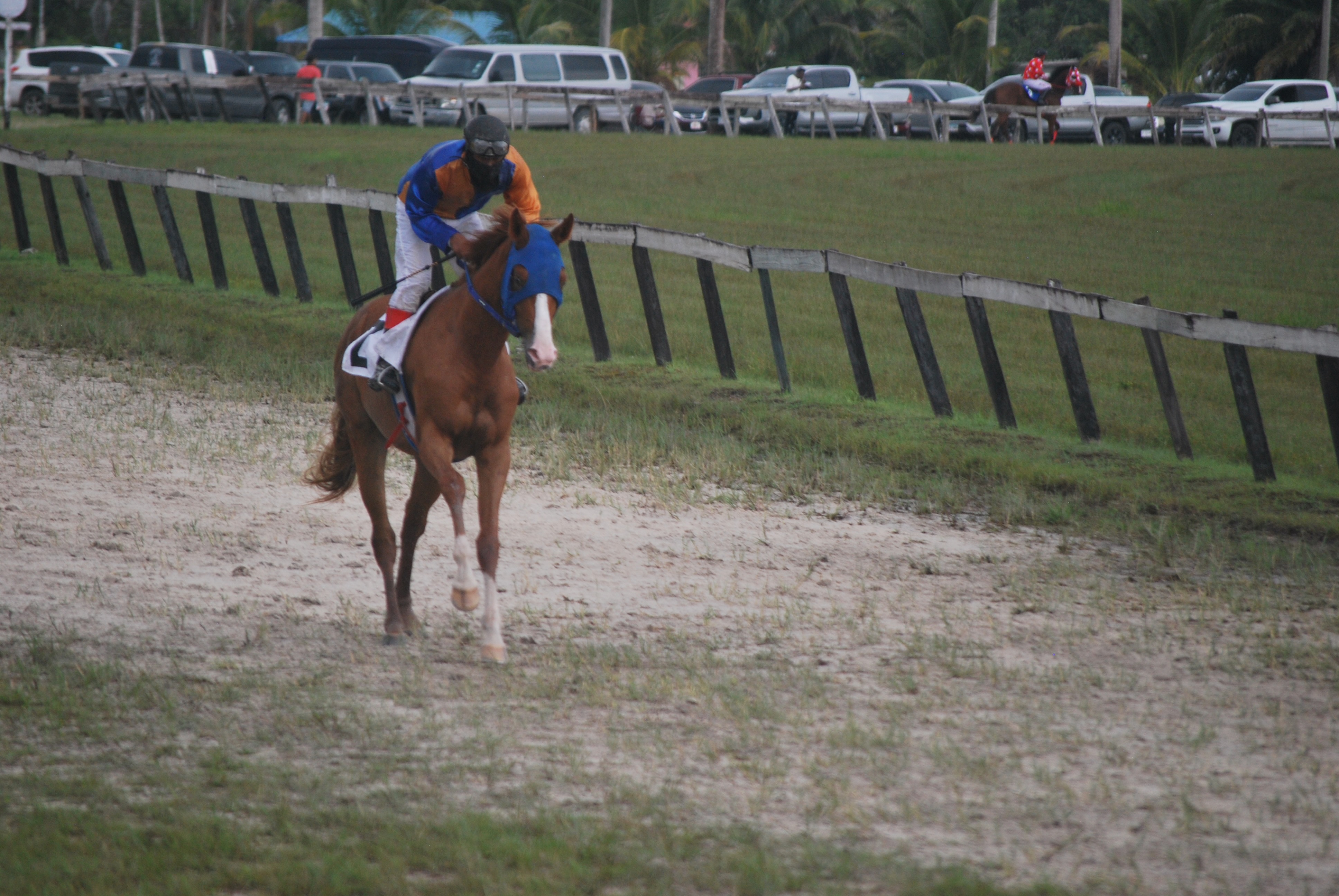 https://horseracingbelize.com/Boyka