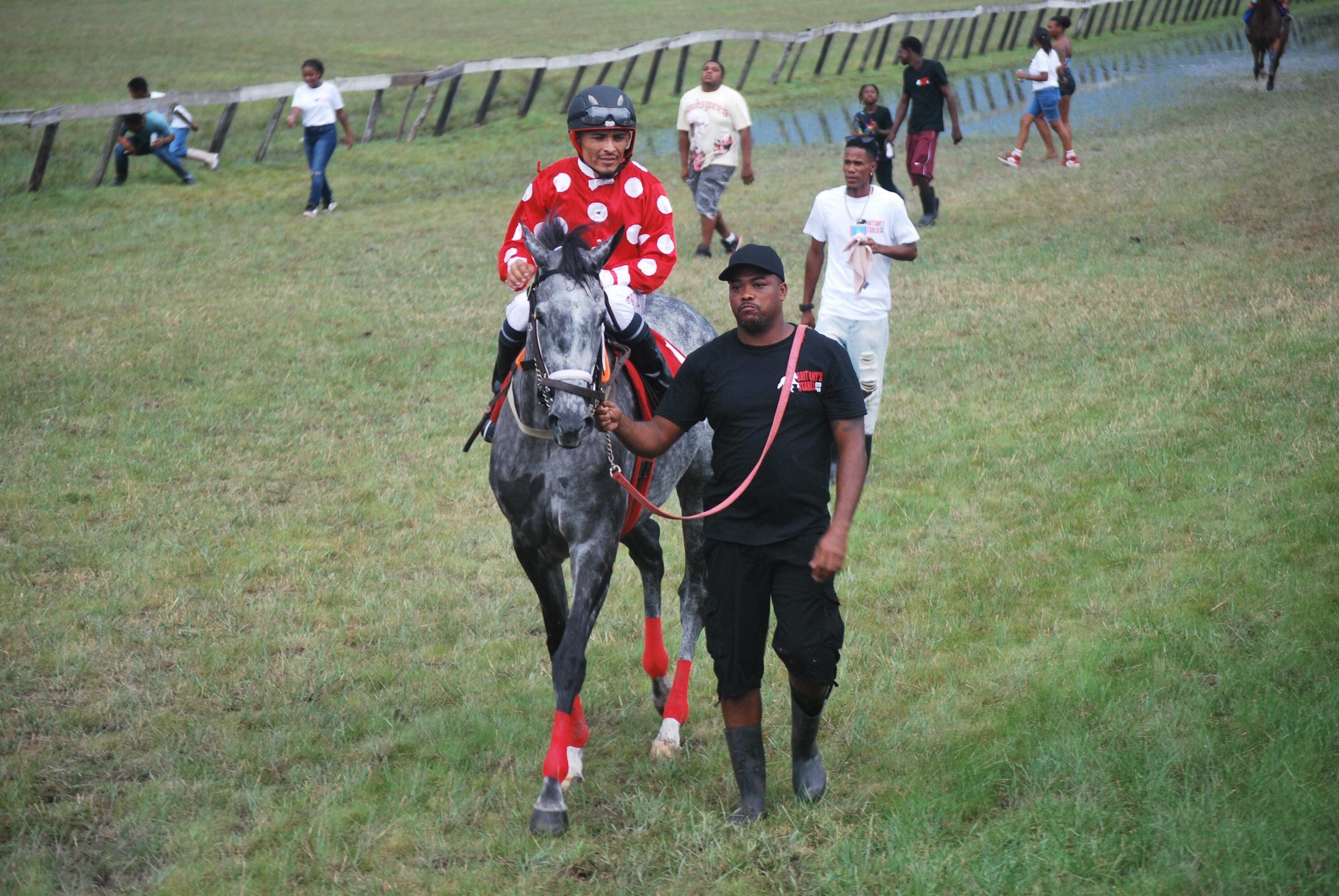 https://horseracingbelize.com/EB Zoom