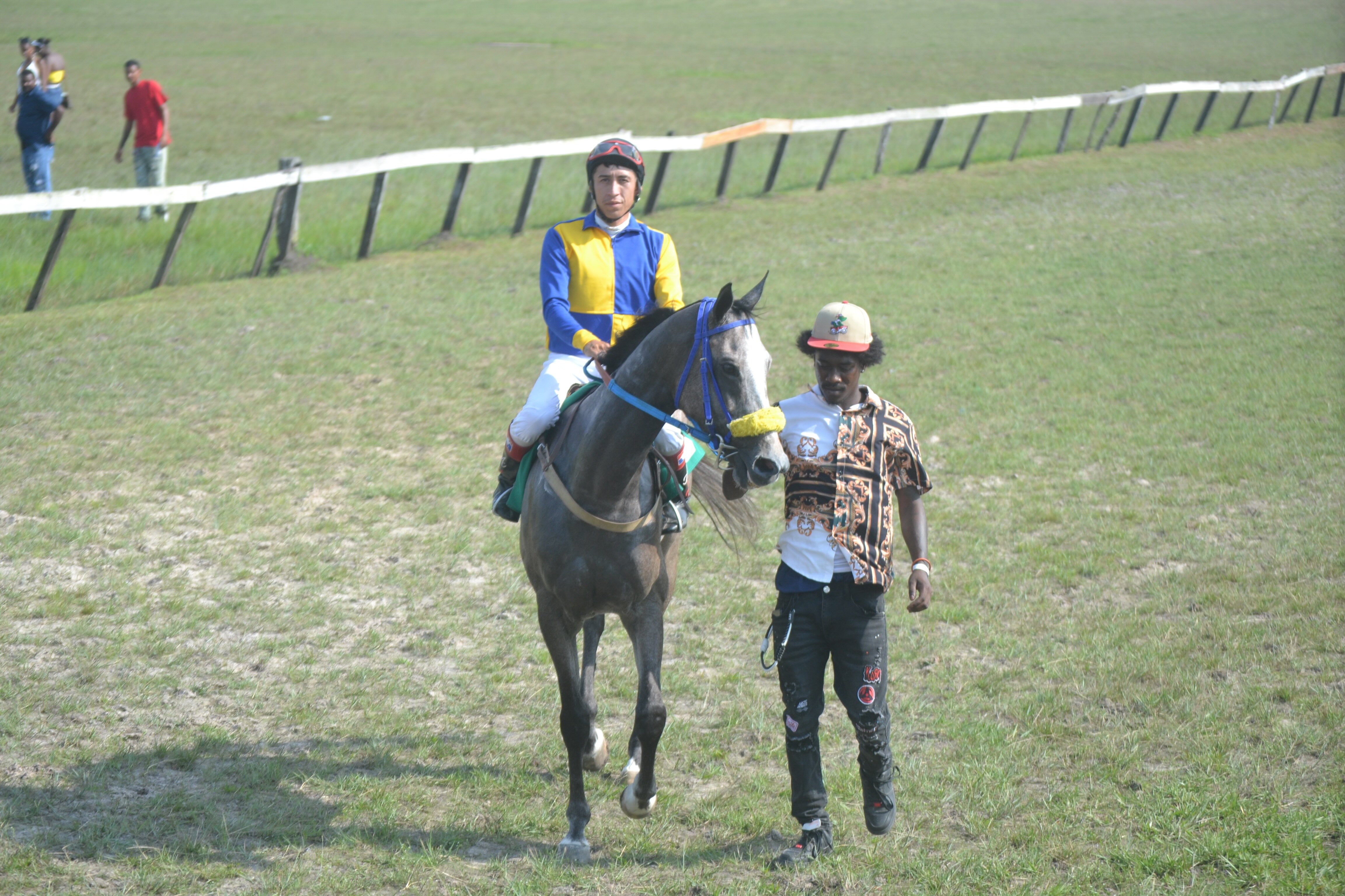 https://horseracingbelize.com/Enigma