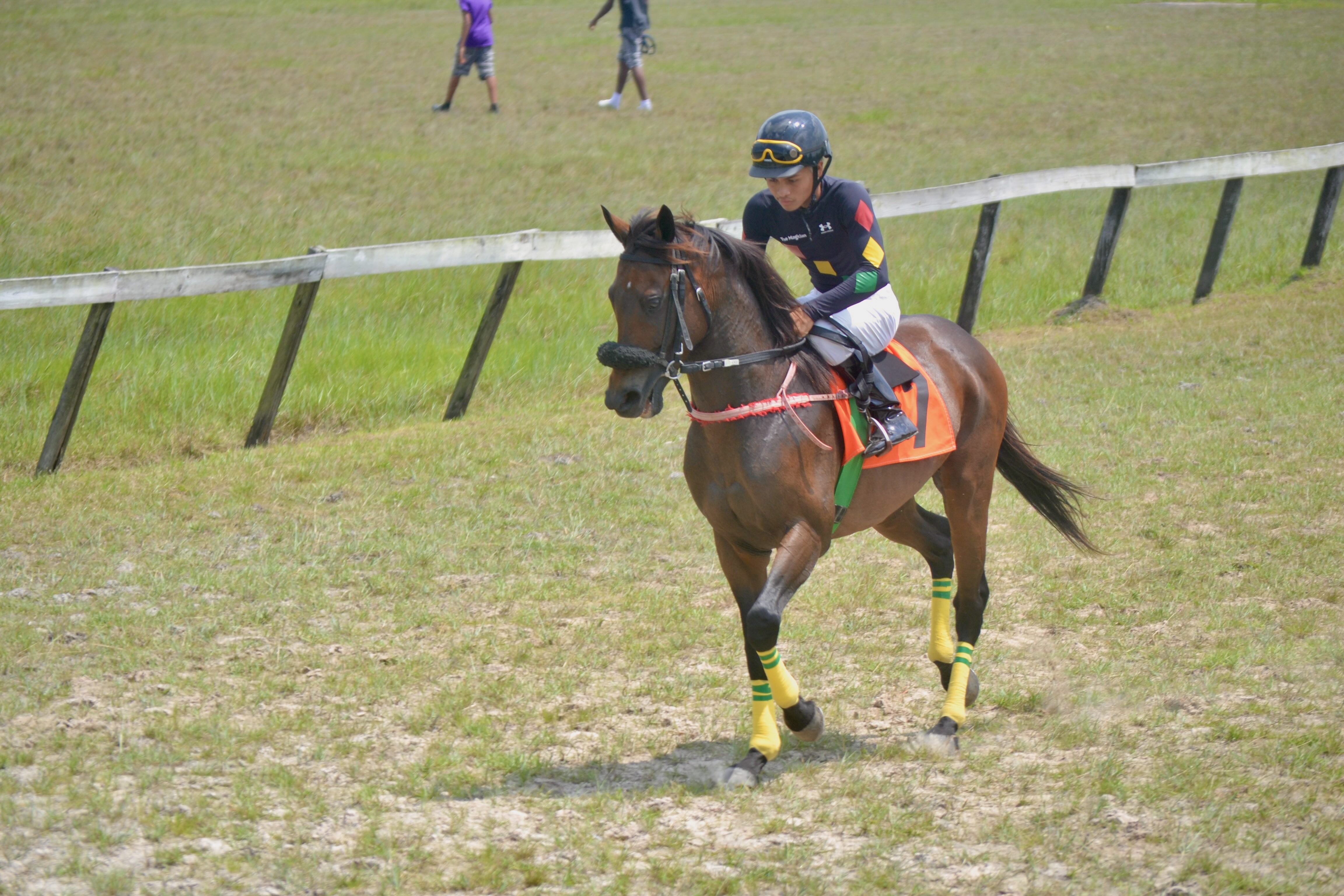 https://horseracingbelize.com/Ghetto Gospel