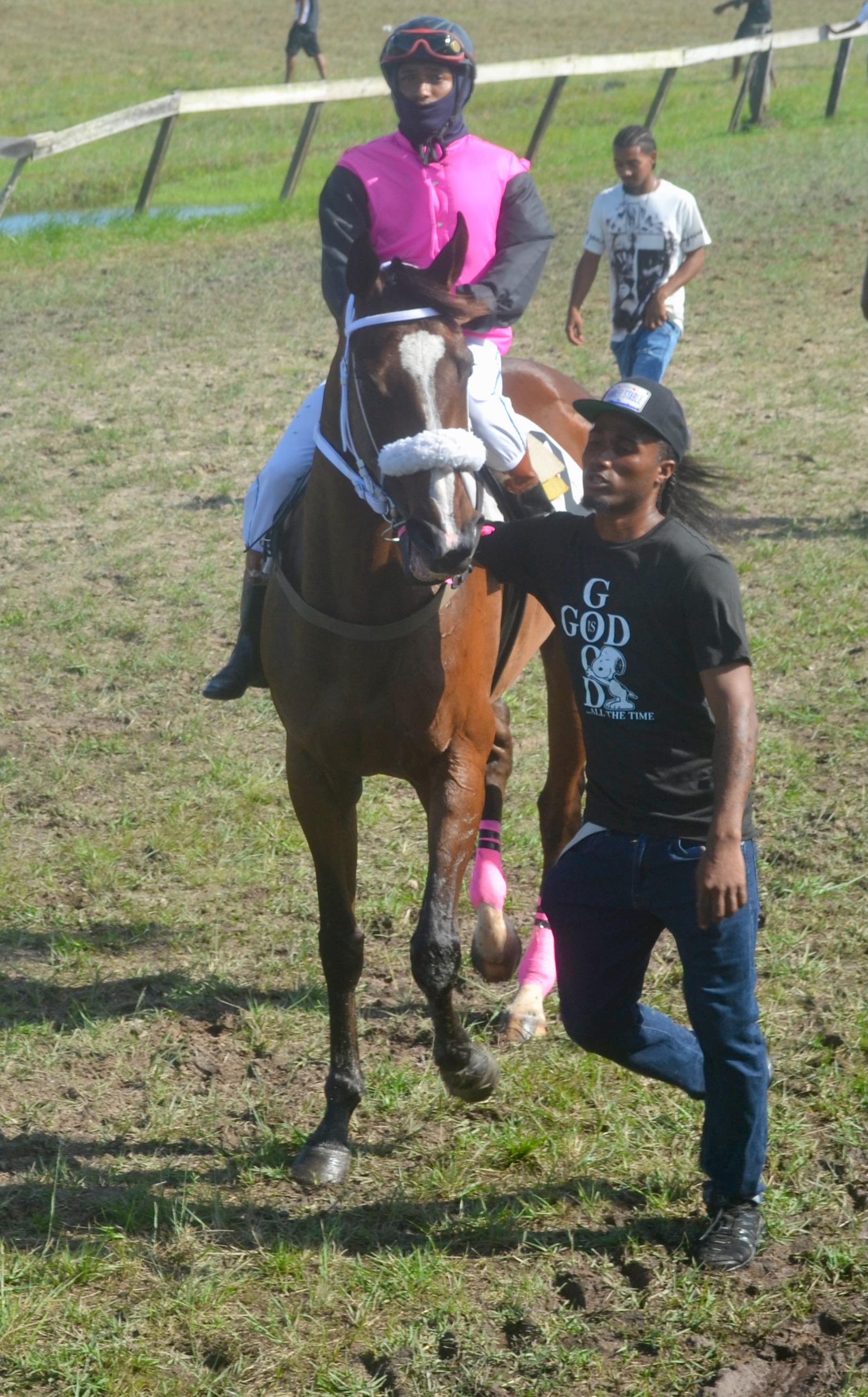 https://horseracingbelize.com/HoldMyGoldMissy