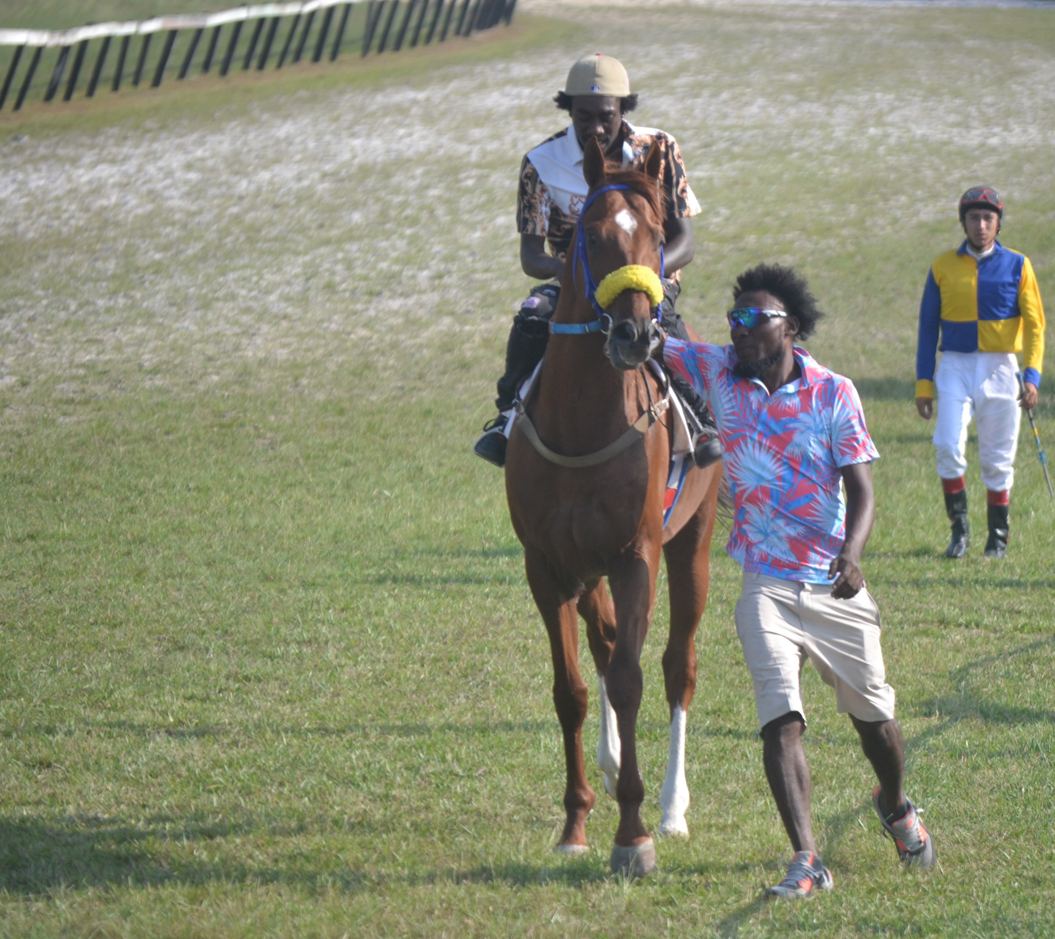 https://horseracingbelize.com/Insufficient Funds